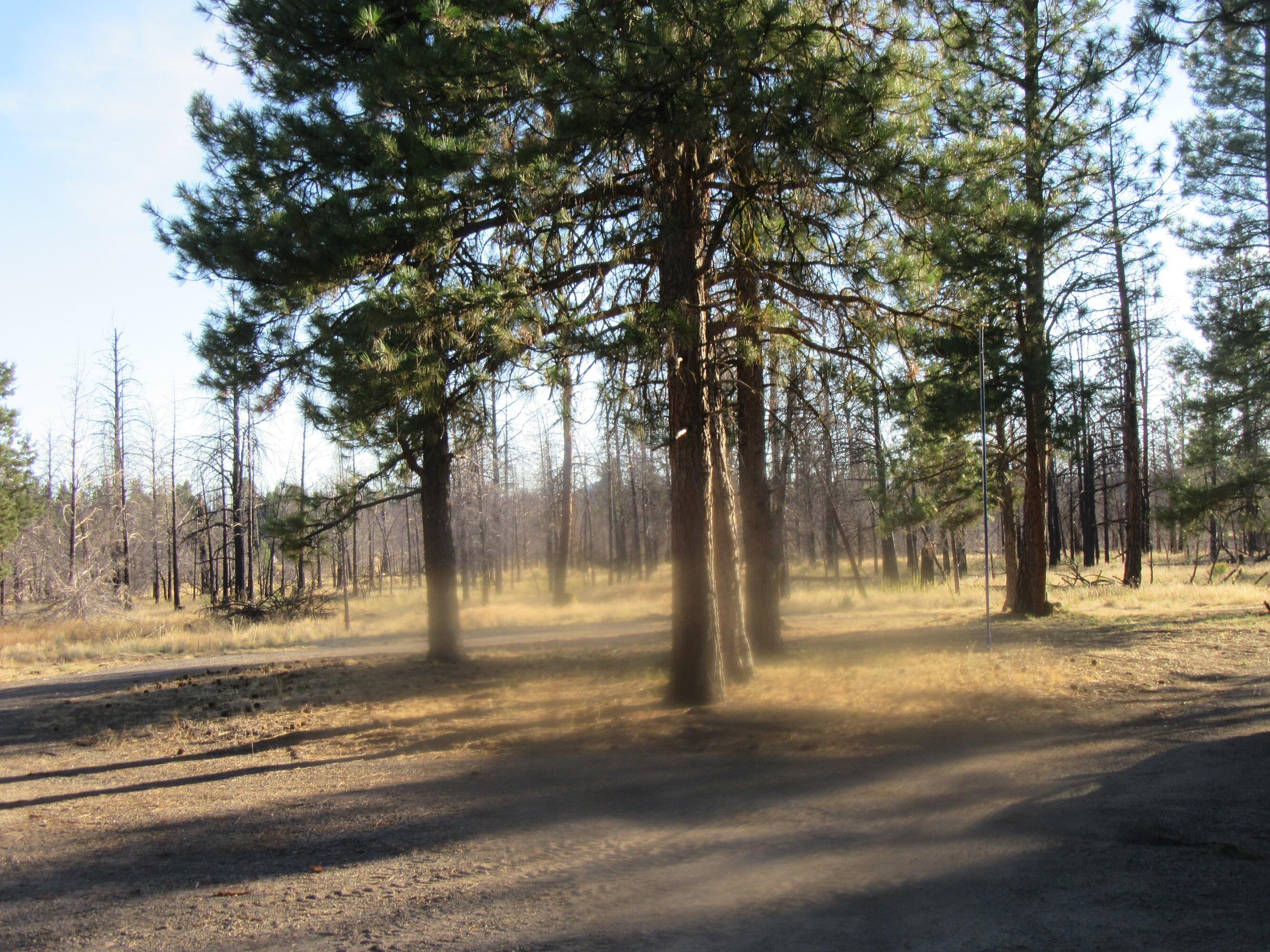 High Country Ranch - Residential