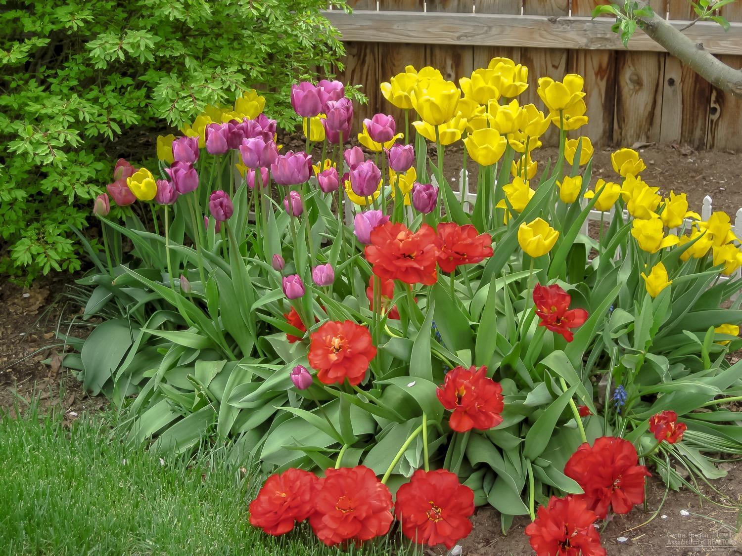 Sterling Pointe - Residential