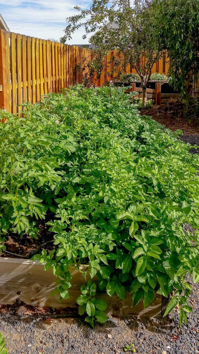 Sterling Pointe - Residential