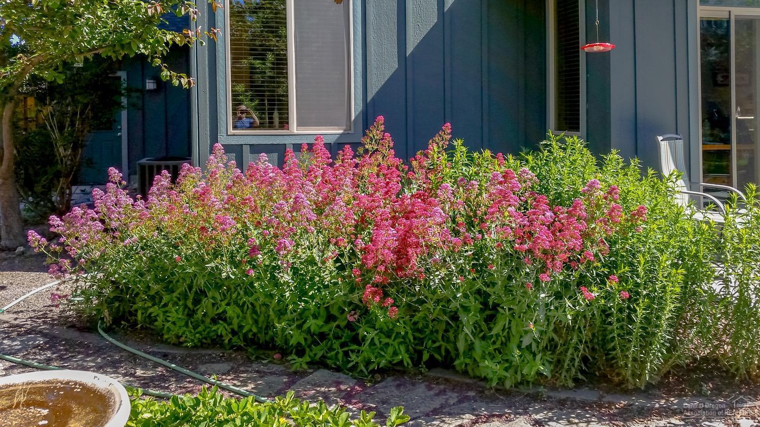 Sterling Pointe - Residential