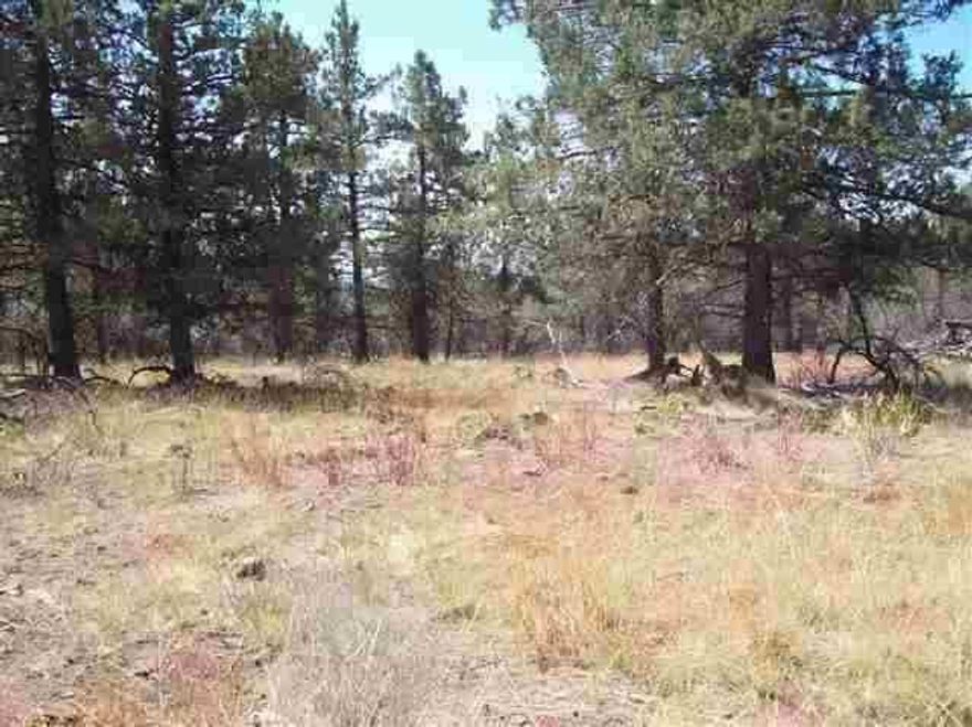 Individual Lots With The Potential Of Having One Community Well To Serve The 3 Properties Or For One Buyer To Have All The Land For Themselves. Great Opportunity For A Family, Or Contractor Looking For A Project.