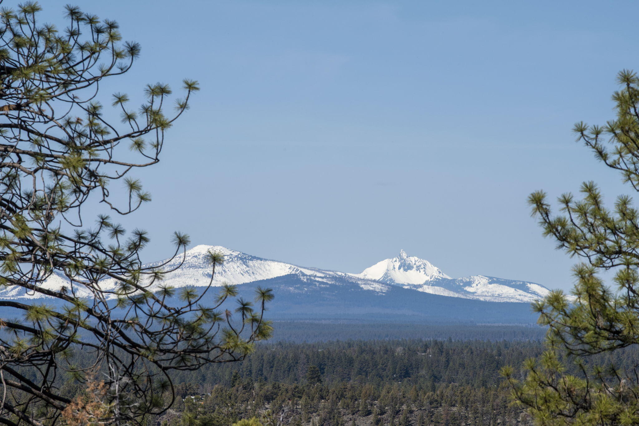 Wyndemere - Residential
