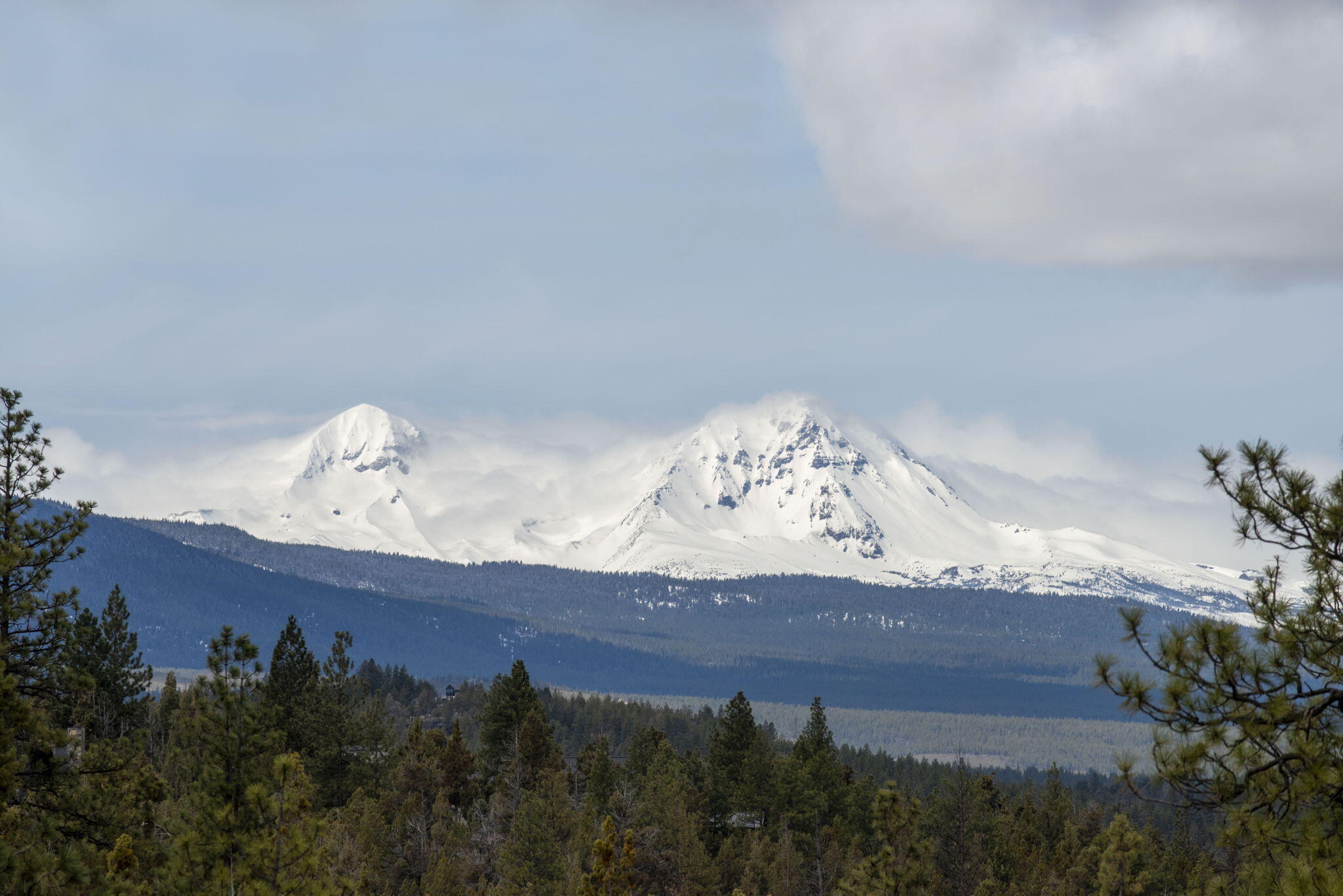 Wyndemere - Residential