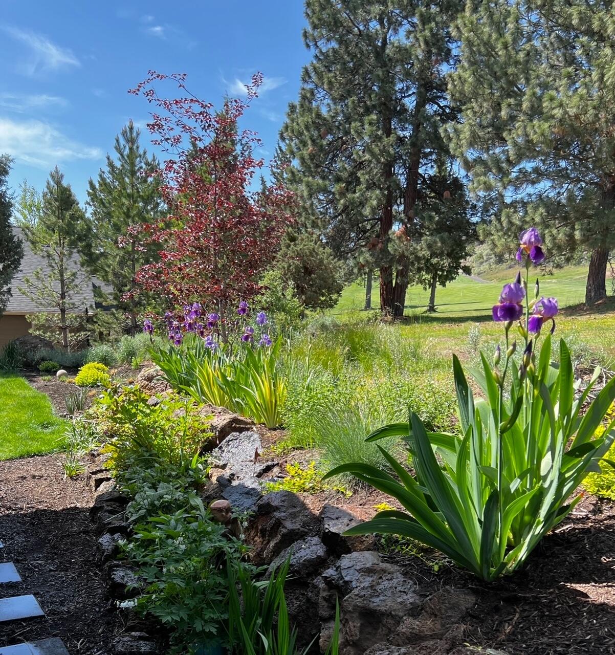 Rivers Edge Village - Residential