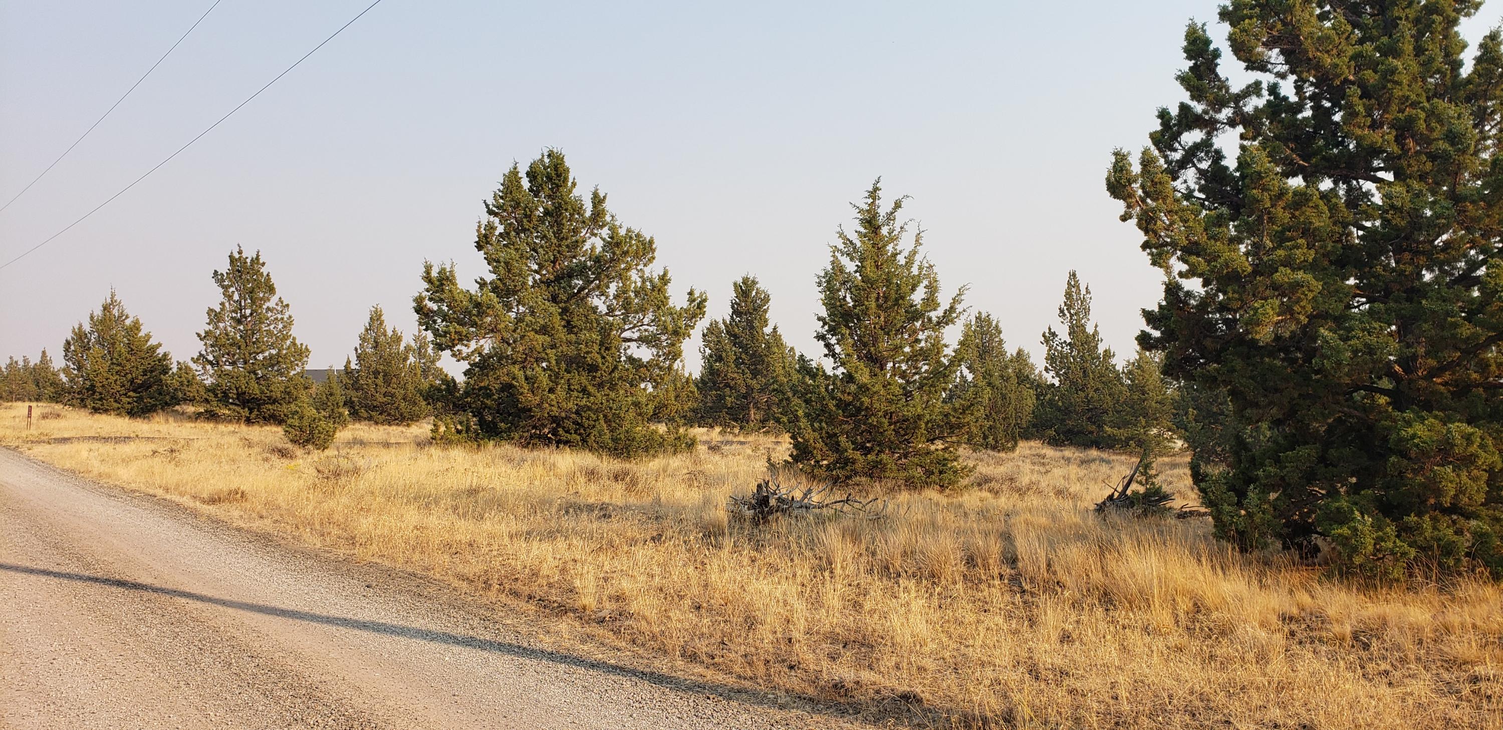 Ochoco Land + Livest - Land