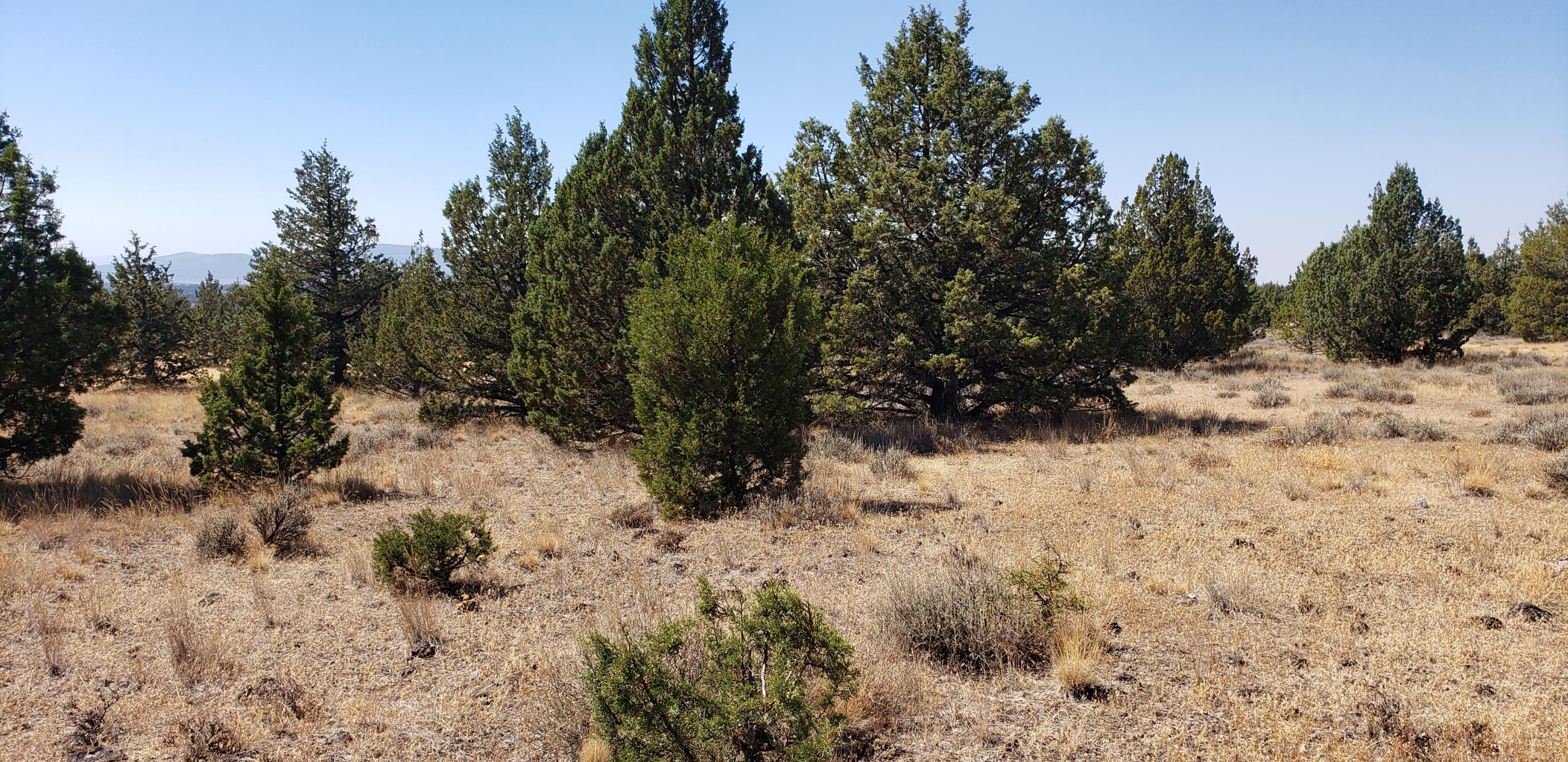 Ochoco Land + Livest - Land