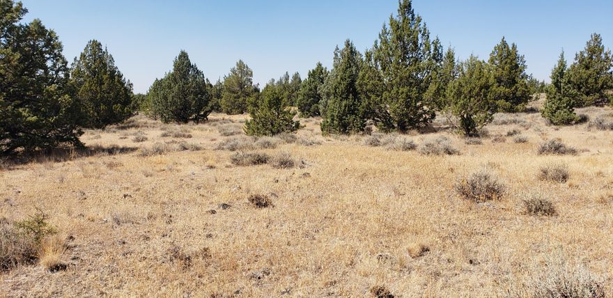 A flat 10 acre parcel of serene Prineville outdoors. Only 15 minutes fro downtown, this is the perfect place for your future dream home or a recreational retreat. Including mountain views and plenty of space to roam with sage brush and full grown trees ready for winter fires or woodworking hobbyists. This is the perfect property to get away from the city without lacking the amenities with a short drive down to the Prineville Reservoir for relaxing