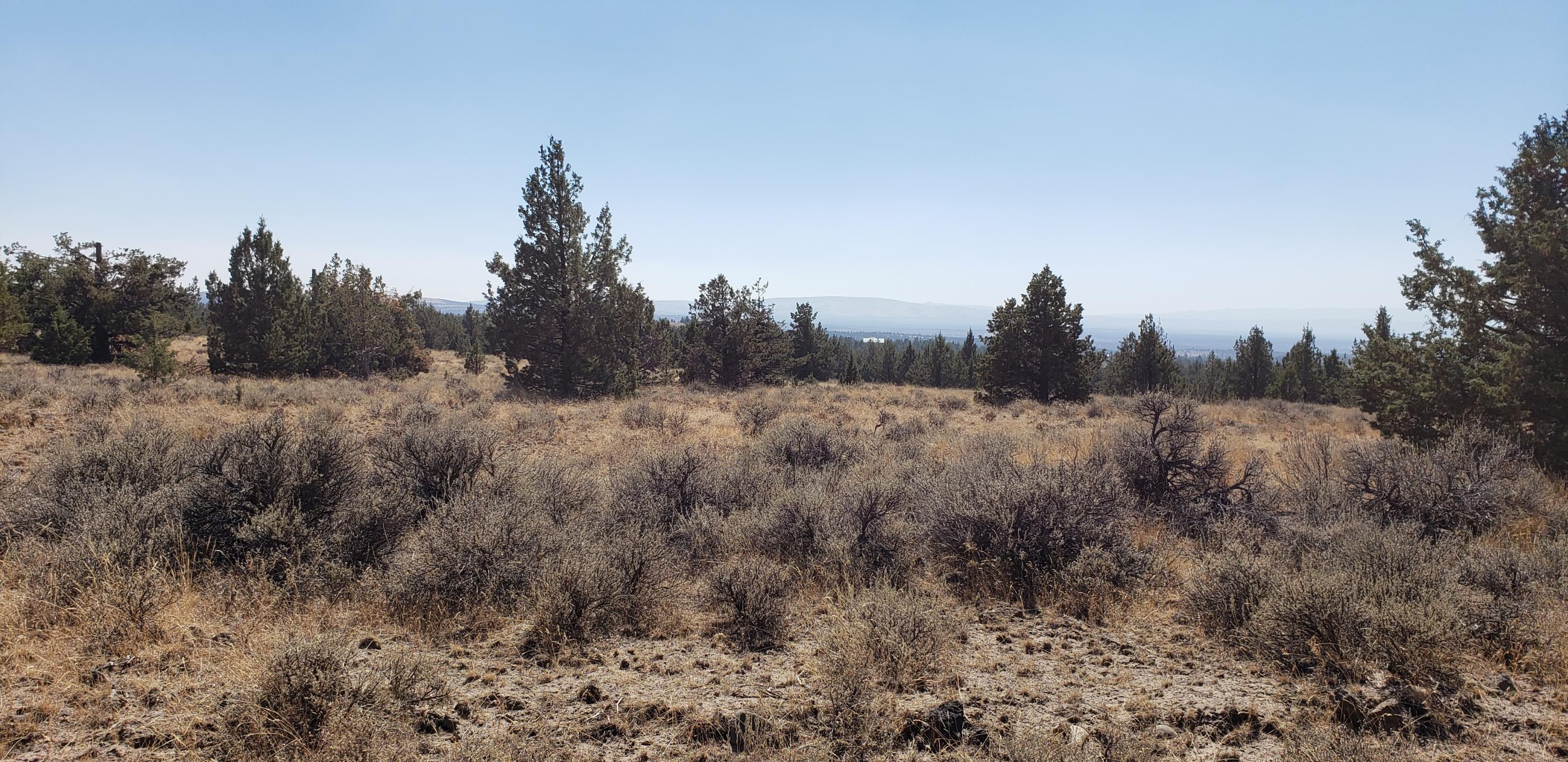 Ochoco Land + Livest - Land