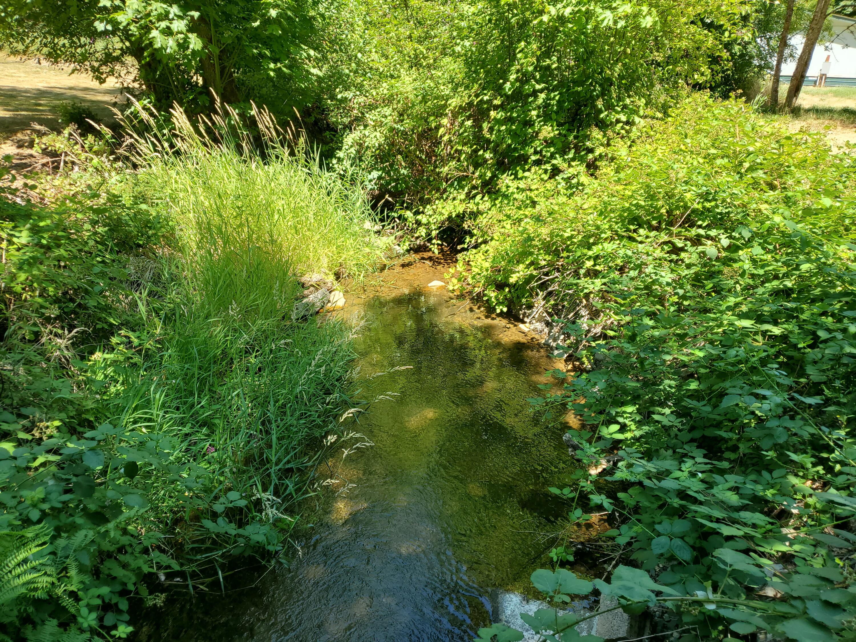 Glendale - Residential