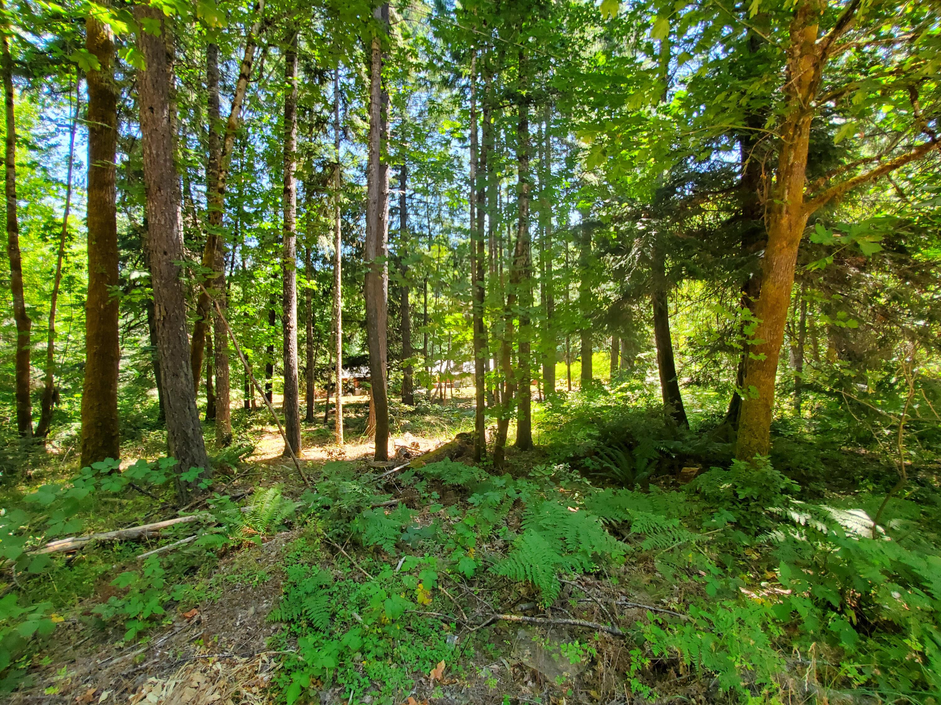 Glendale - Residential