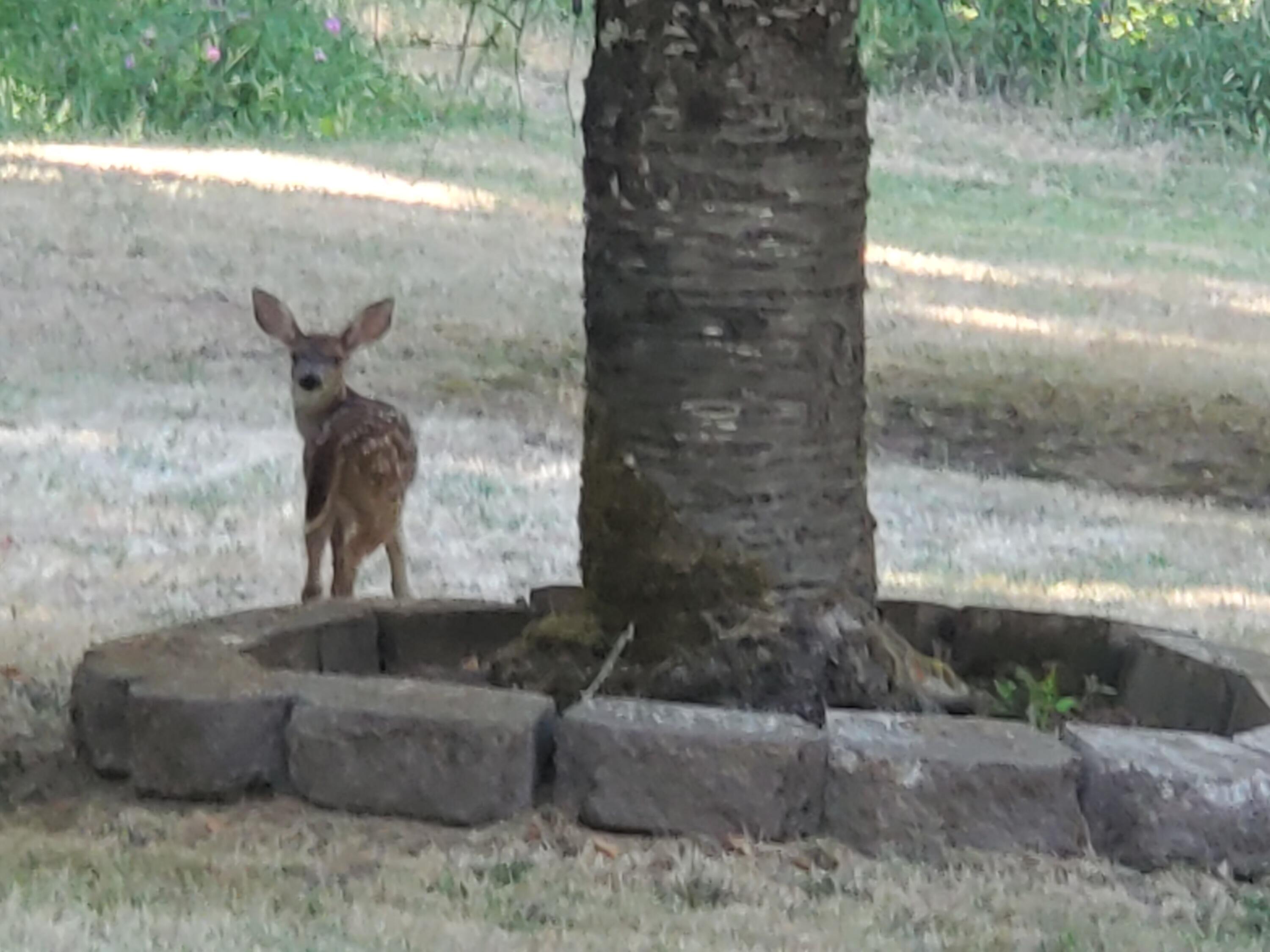 Glendale - Residential