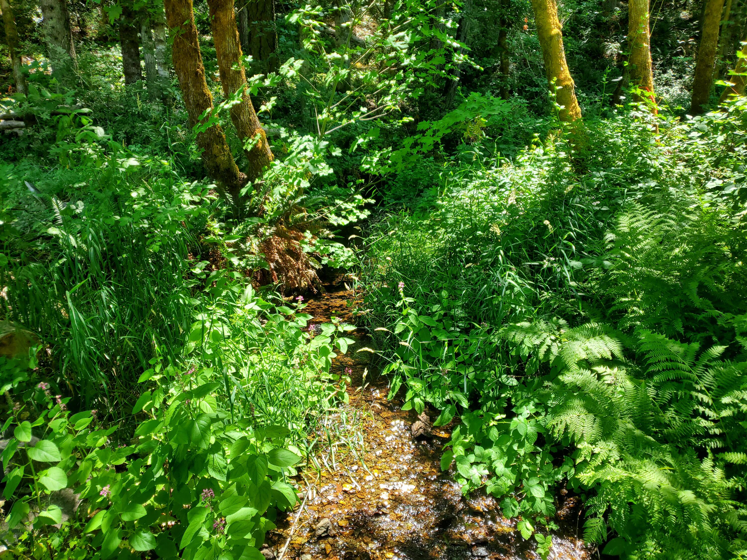 Glendale - Residential