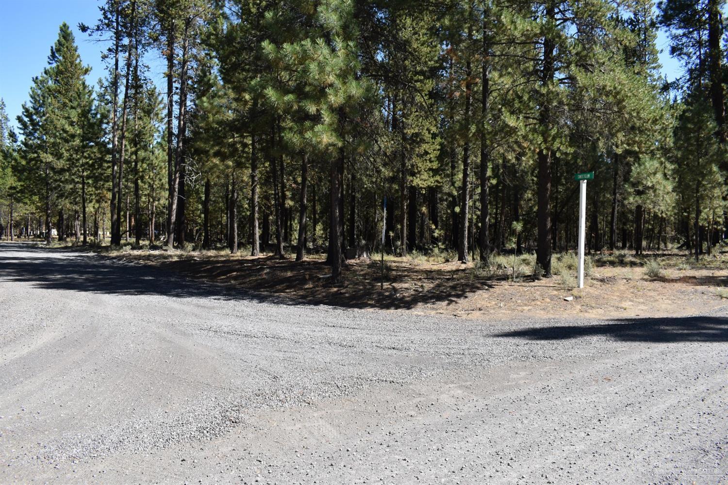 Ponderosa Pines - Land