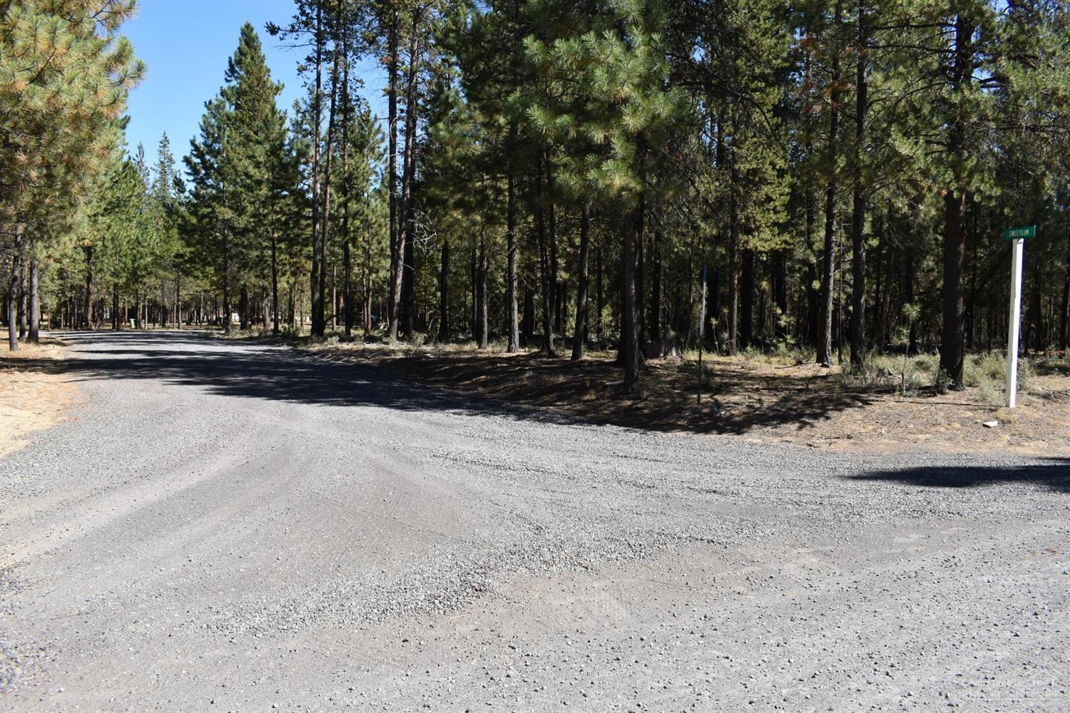 Ponderosa Pines - Land