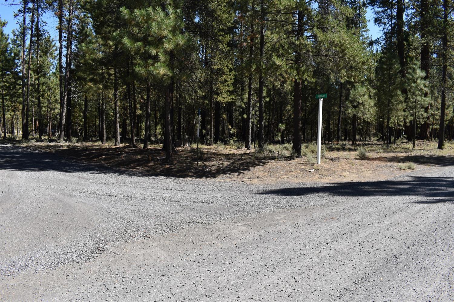 Ponderosa Pines - Land