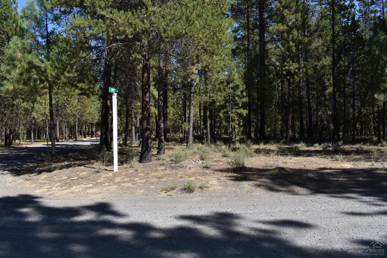 Ponderosa Pines - Land