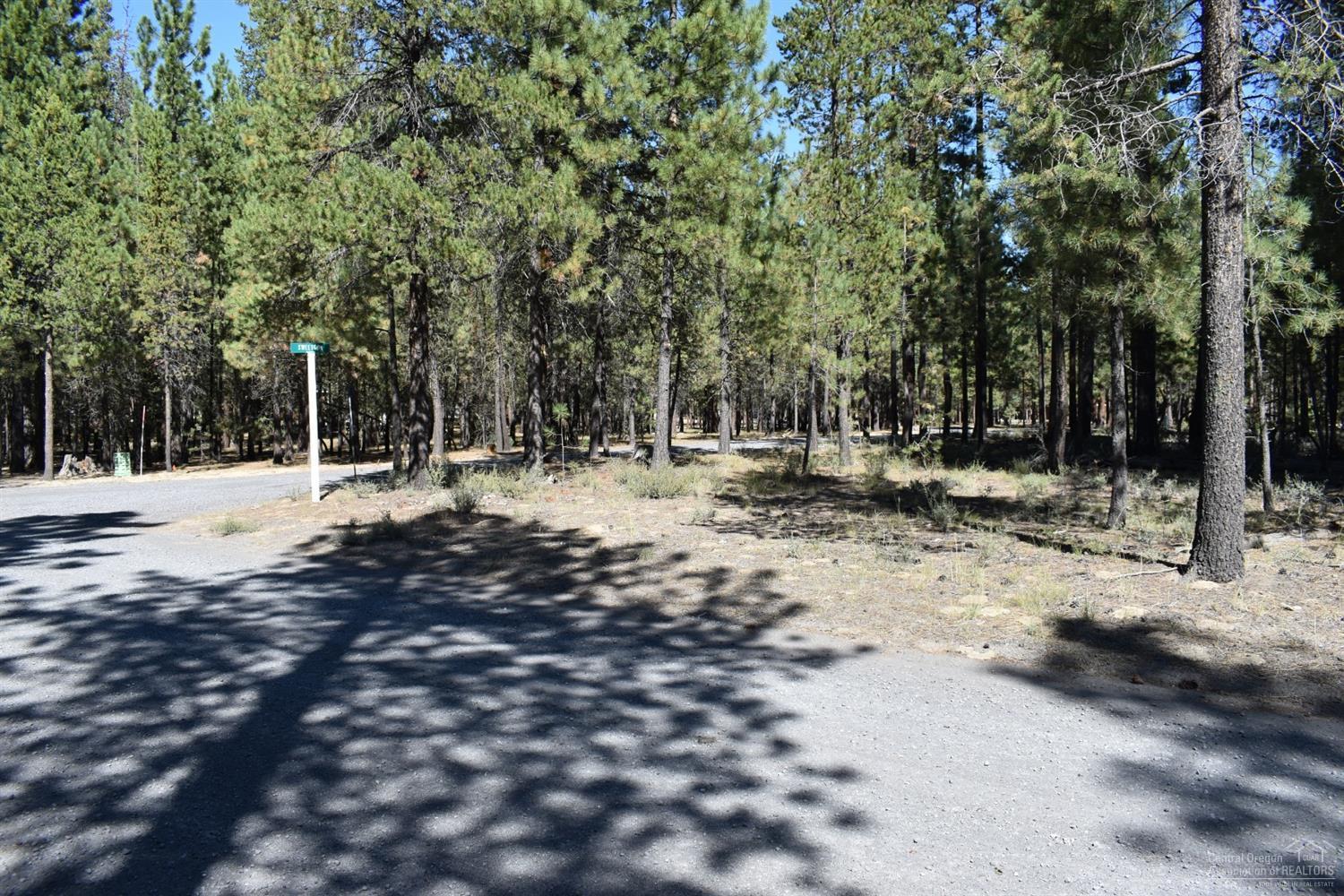 Ponderosa Pines - Land