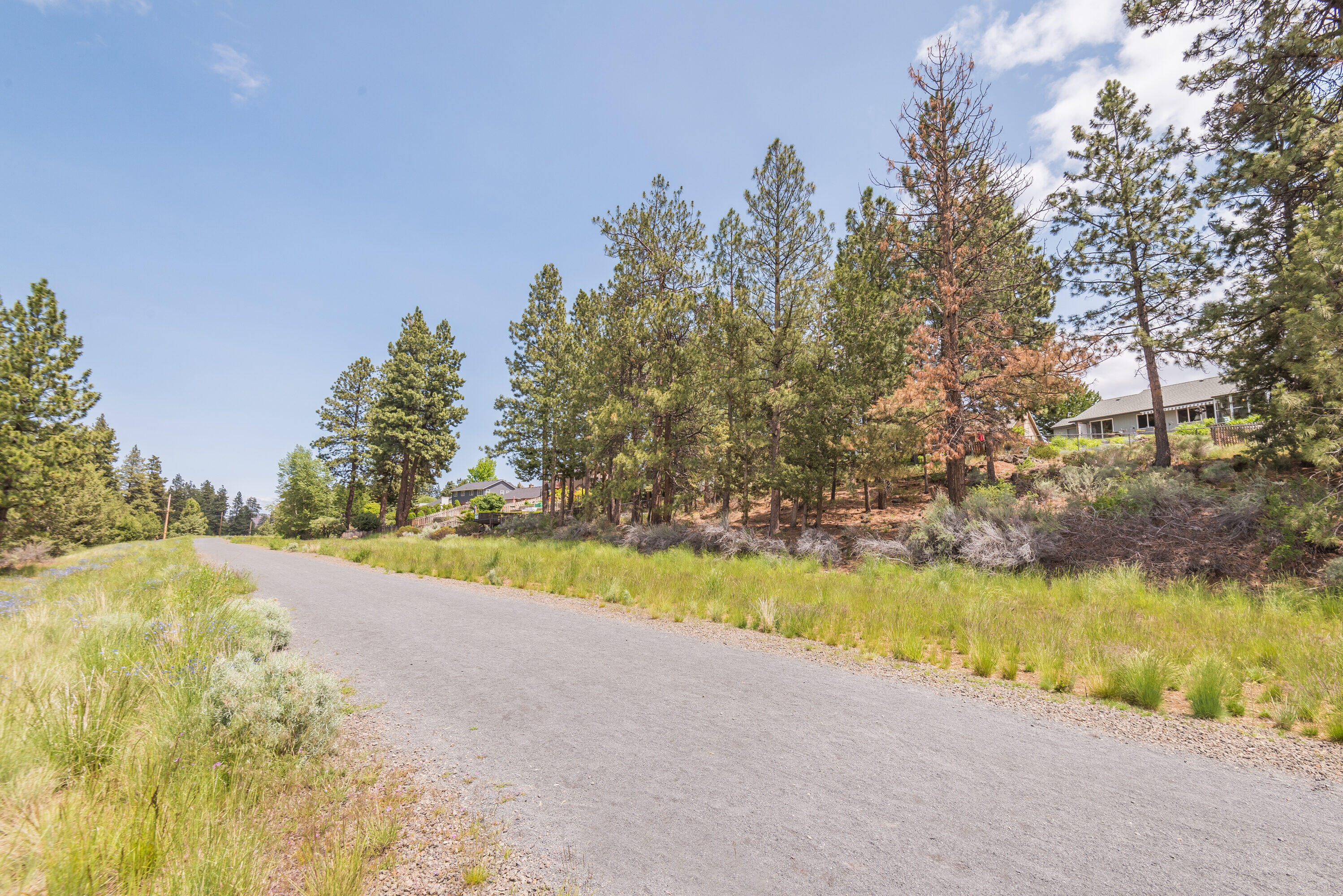 Elkhorn Estates - Residential