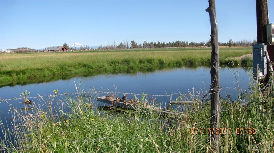 Sale is subject to the successful portioning of 5 plus or minus acres in SW corner of the property along with the buildings which will not be included as part of the sale. The property has been used as part of a larger livestock operation for several years. There are no buildings on the parcel being sold.