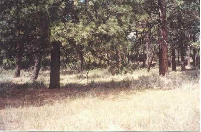 Woodland Park - Land