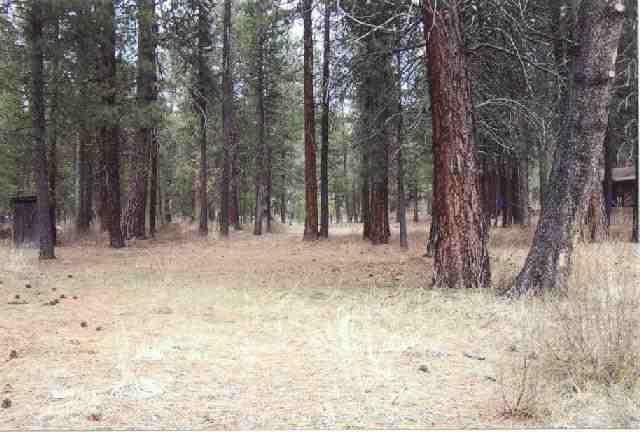 Woodland Park - Land