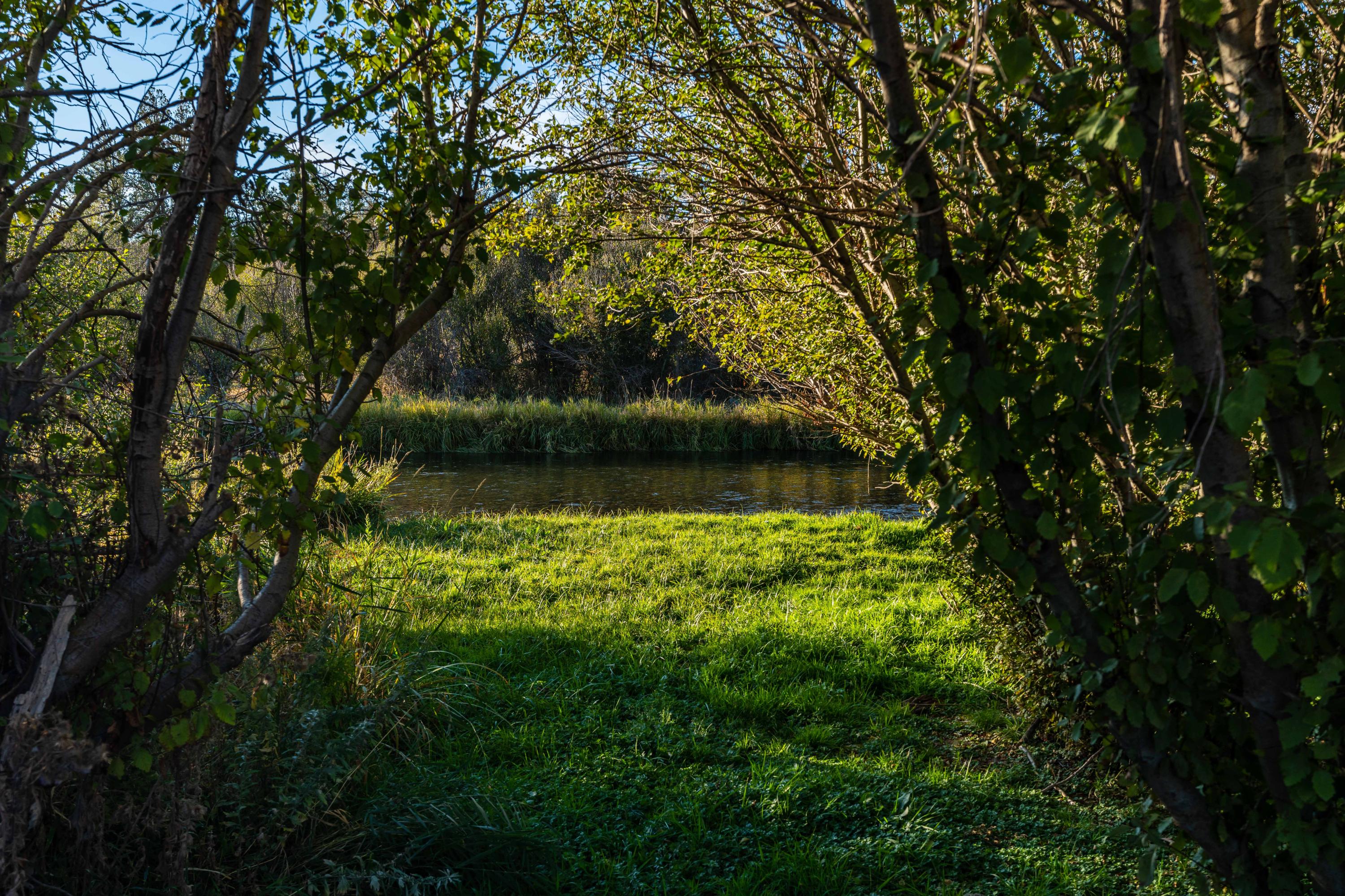 North River - Residential