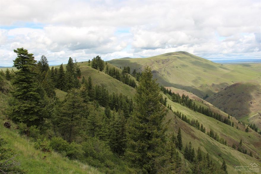 Located in North Eastern Oregon Near the town of Joseph Oregon, The Pocket Ranch is 5817+/- Contiguous Deeded Acres, about 9 Square Miles of private ranch. There are NO other party IN HOLDINGS on this ranch. For this and many reasons The Pocket Ranch Is the Best Elk and Wildlife Ranch in the State of Oregon. There are no public roads through Pocket Ranch.Pocket Ranch is a very healthy ranch and home to all types of wildlife. Water availability 24 springs & 30 ponds. 2 Bed / 2 Bath home and More