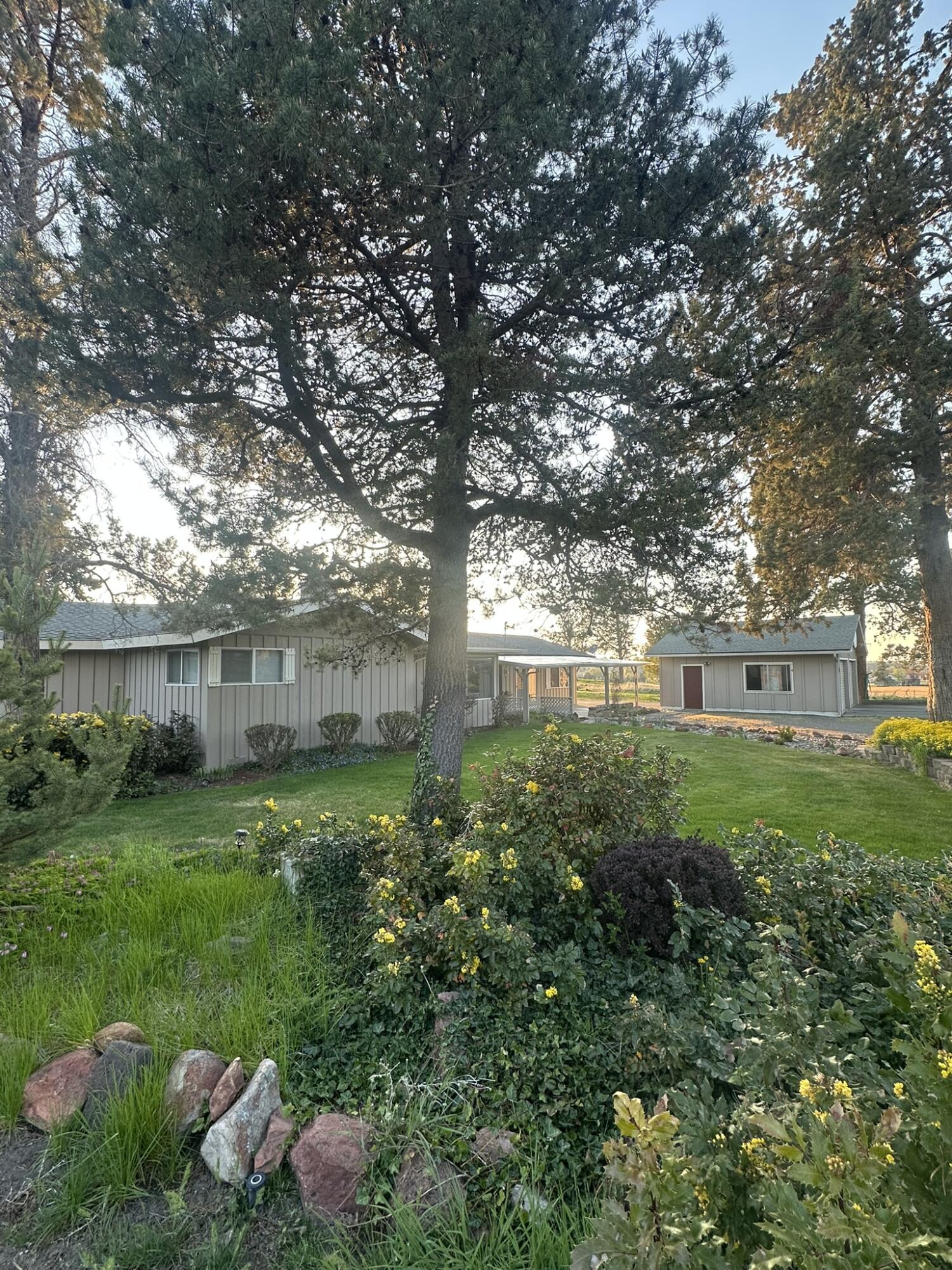 Juniper Estate - Residential