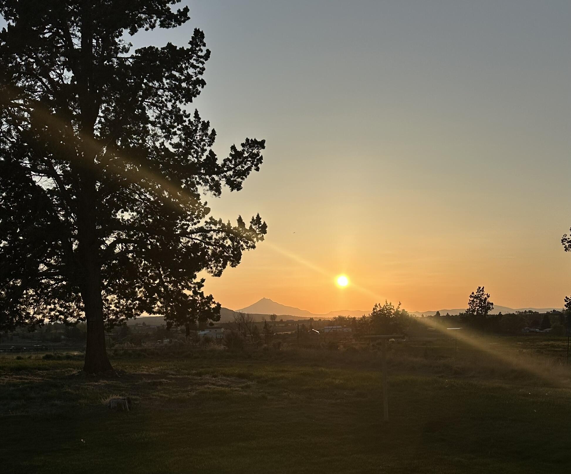 Juniper Estate - Residential