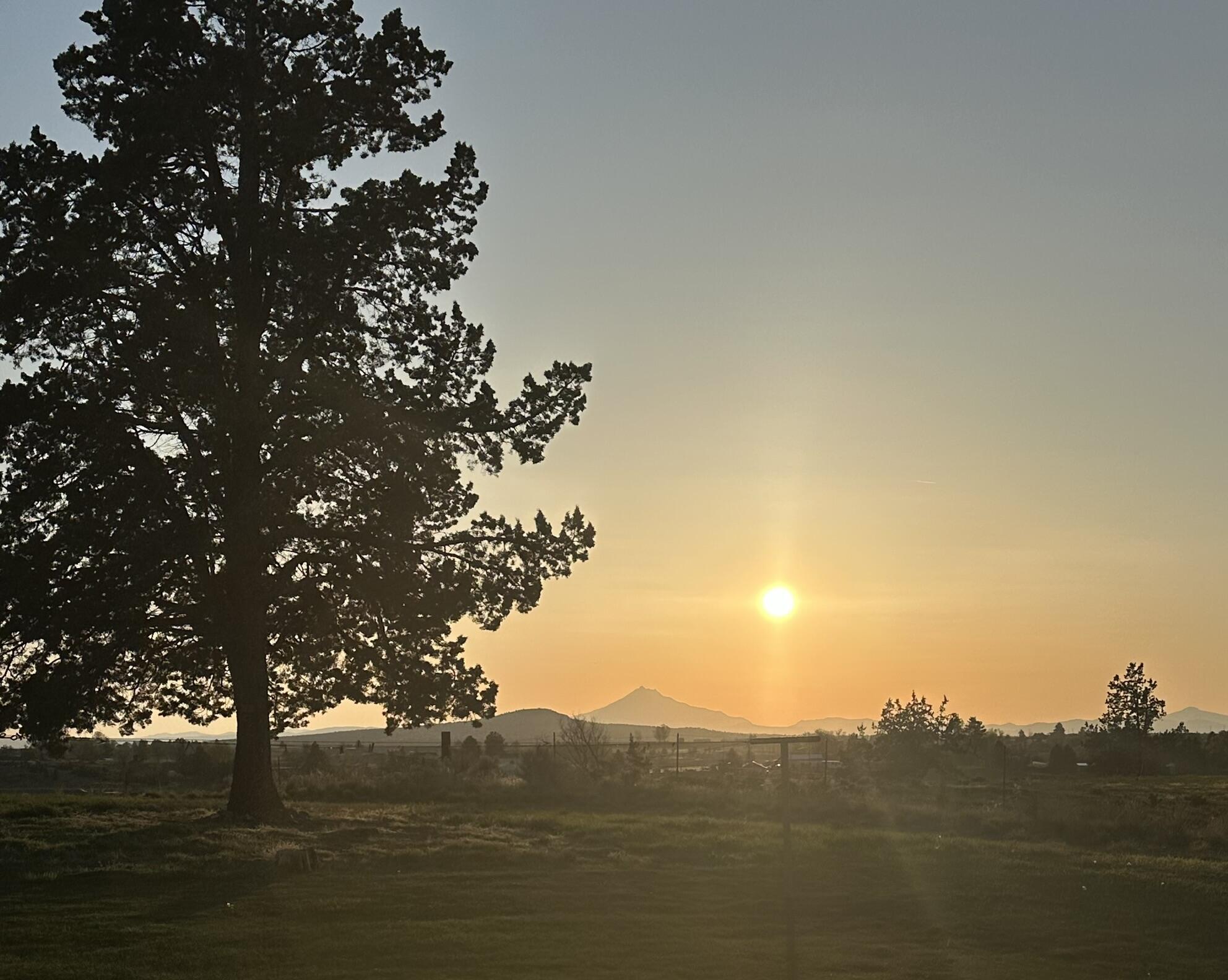 Juniper Estate - Residential