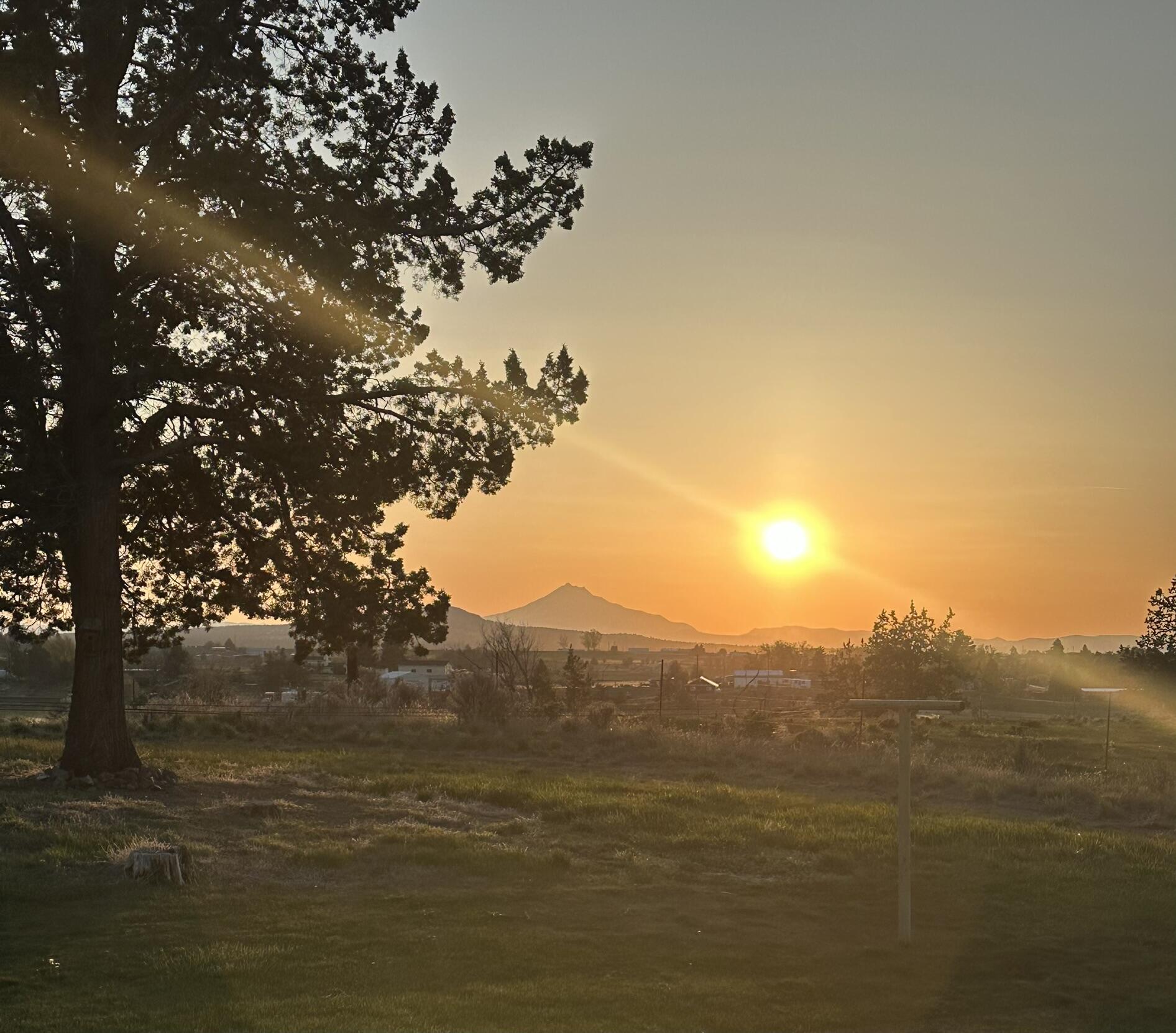 Juniper Estate - Residential