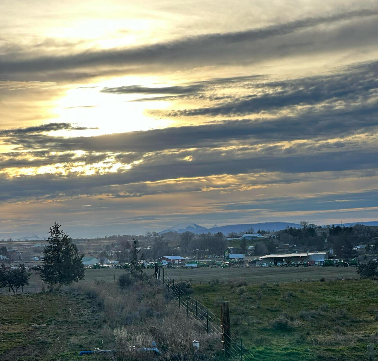 Juniper Estate - Residential