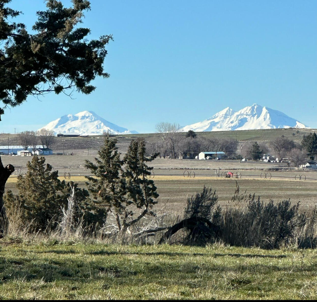 Juniper Estate - Residential