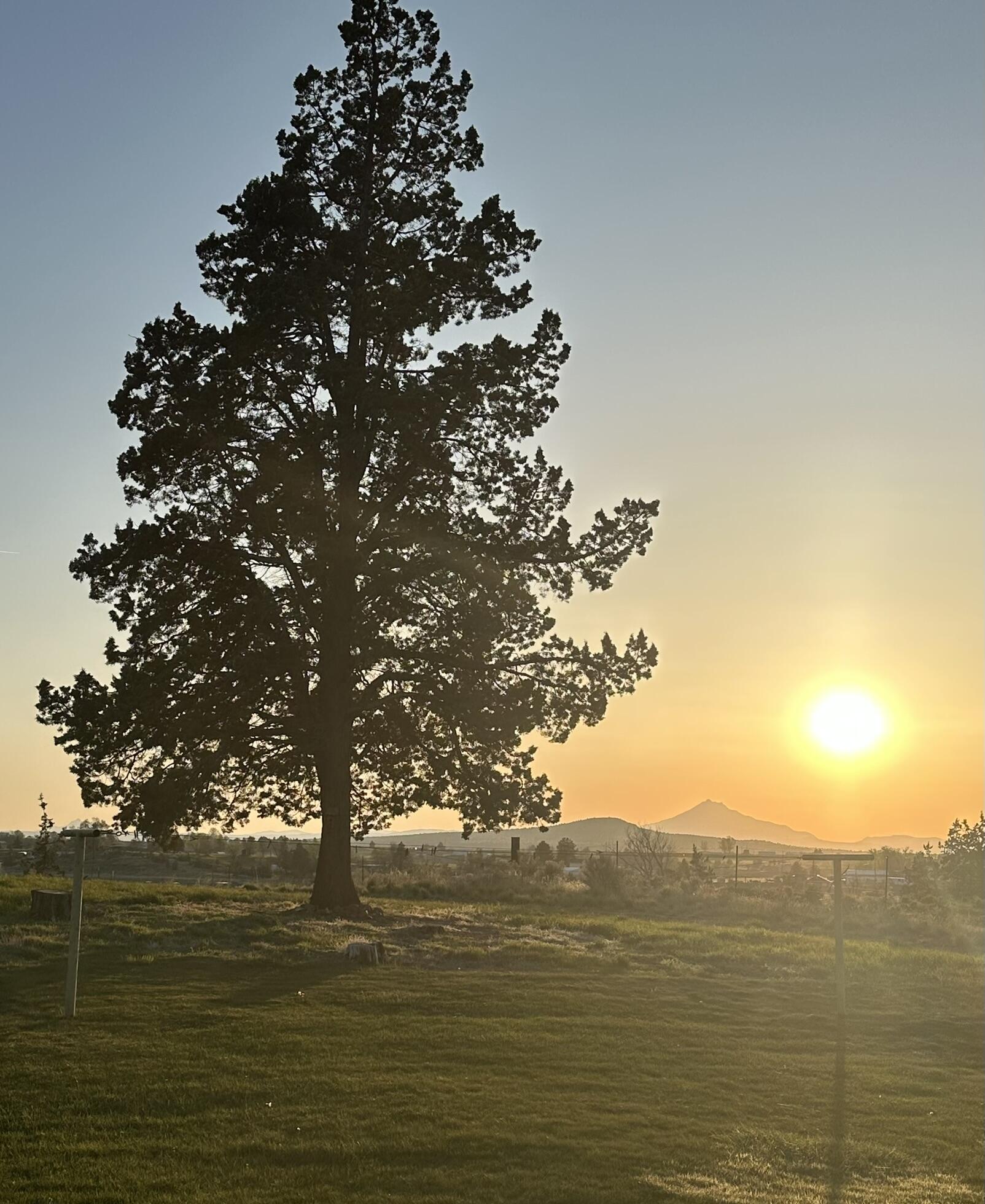 Juniper Estate - Residential