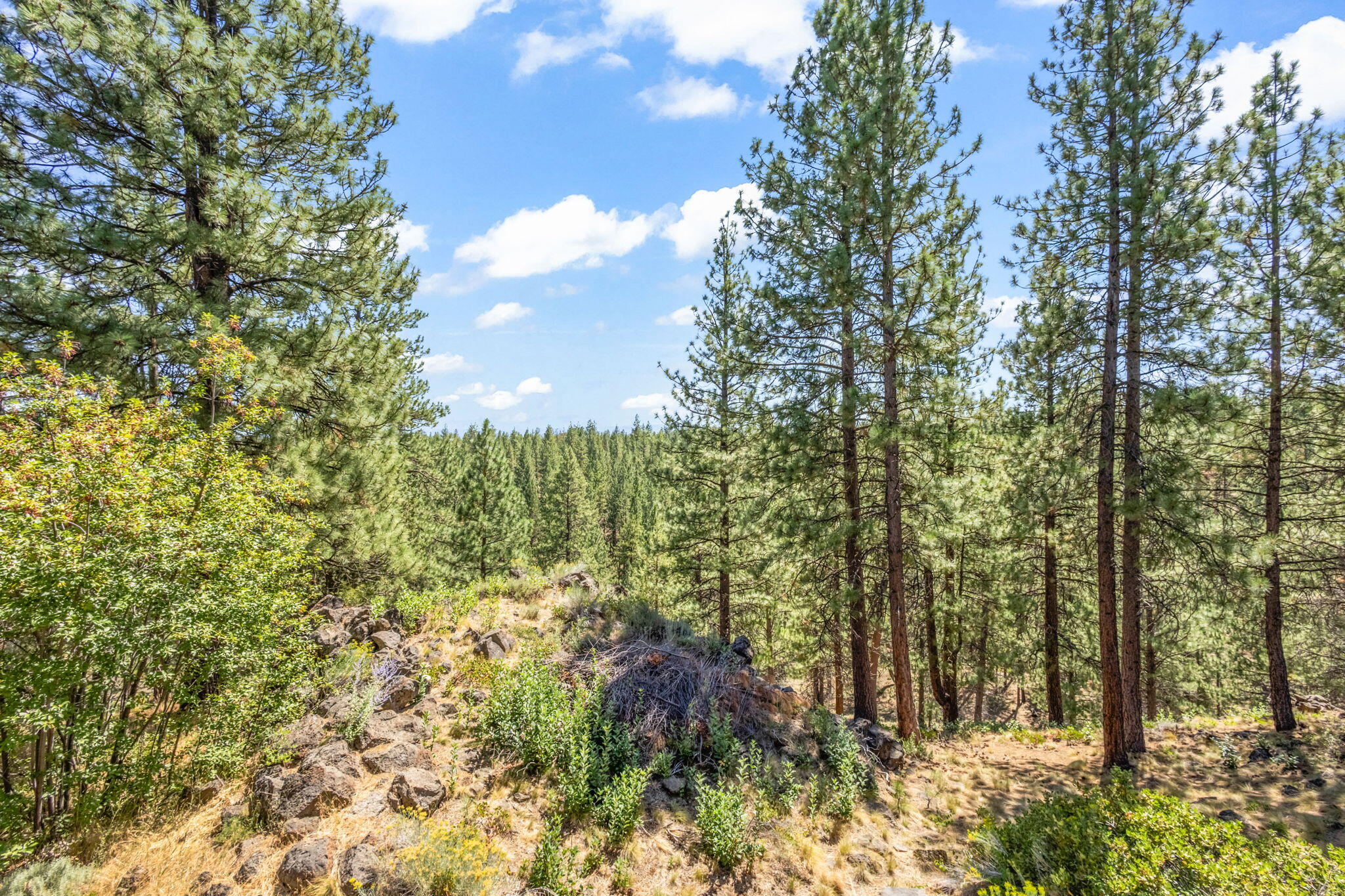 Inn Of The 7th - Residential