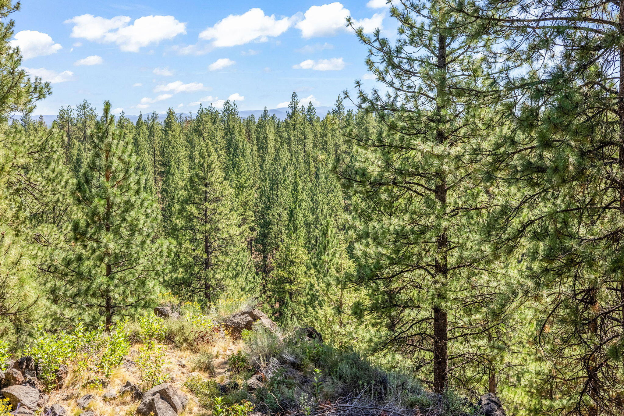 Inn Of The 7th - Residential