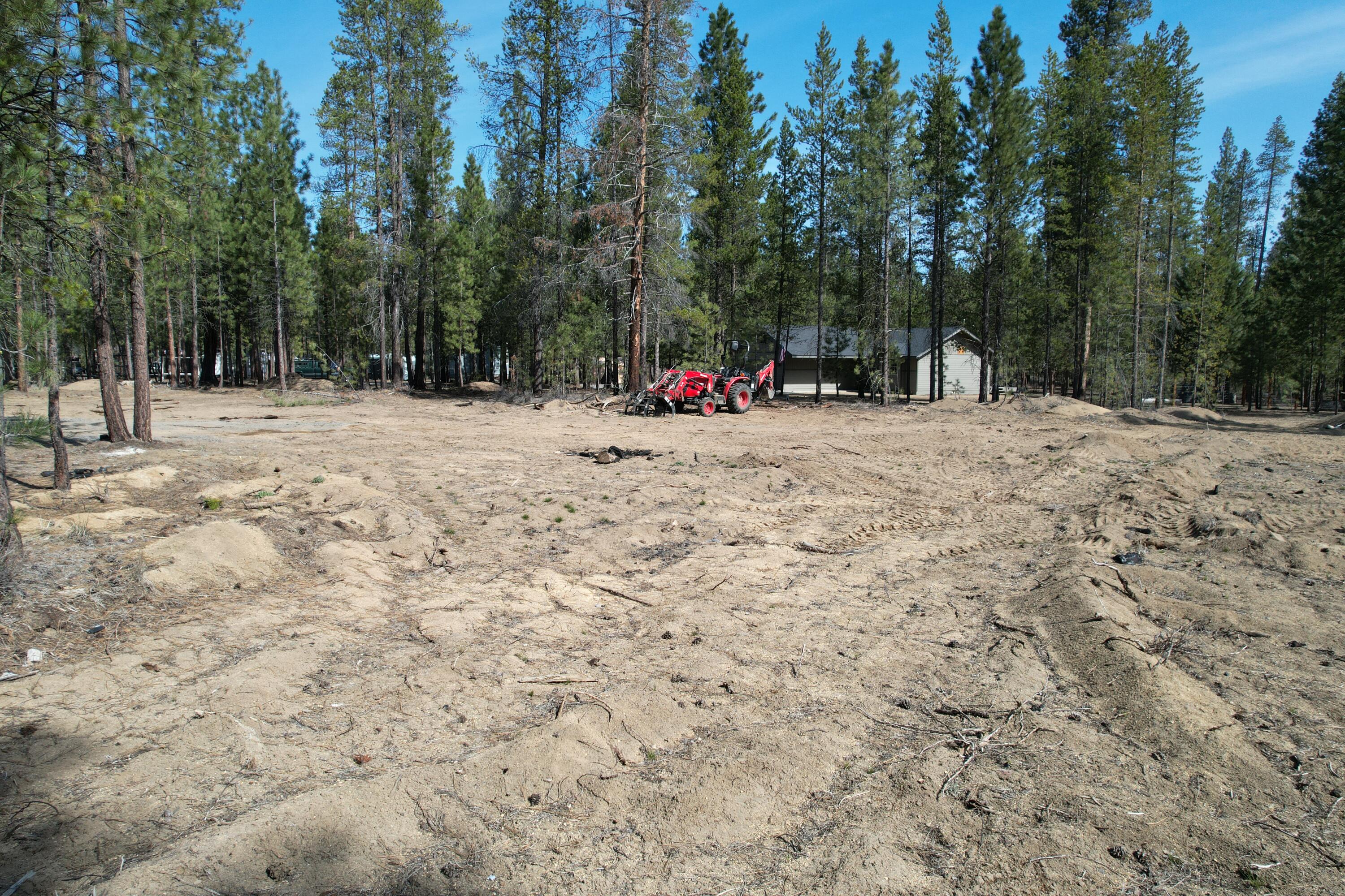 Ponderosa Pines - Land