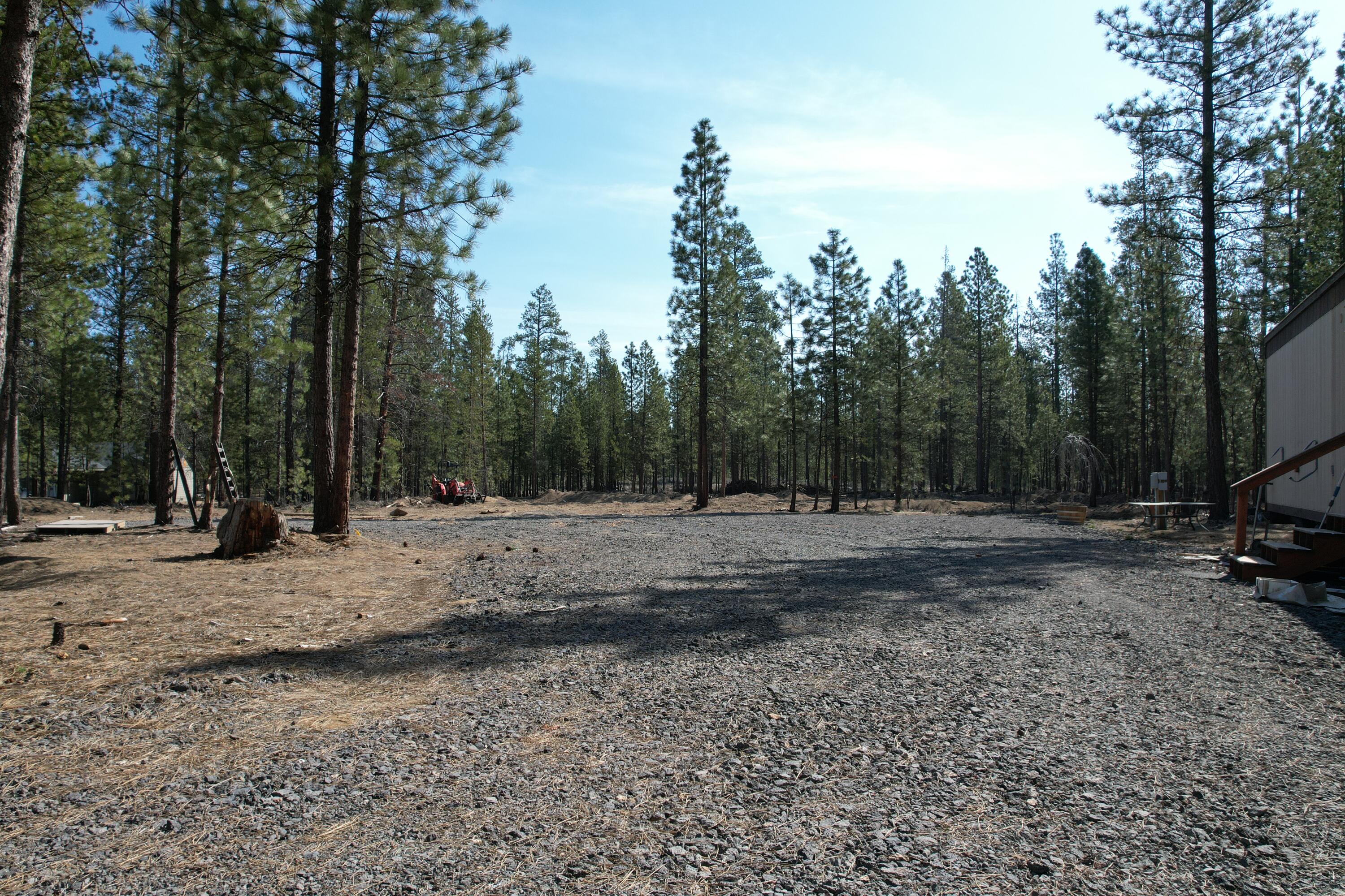 Ponderosa Pines - Land