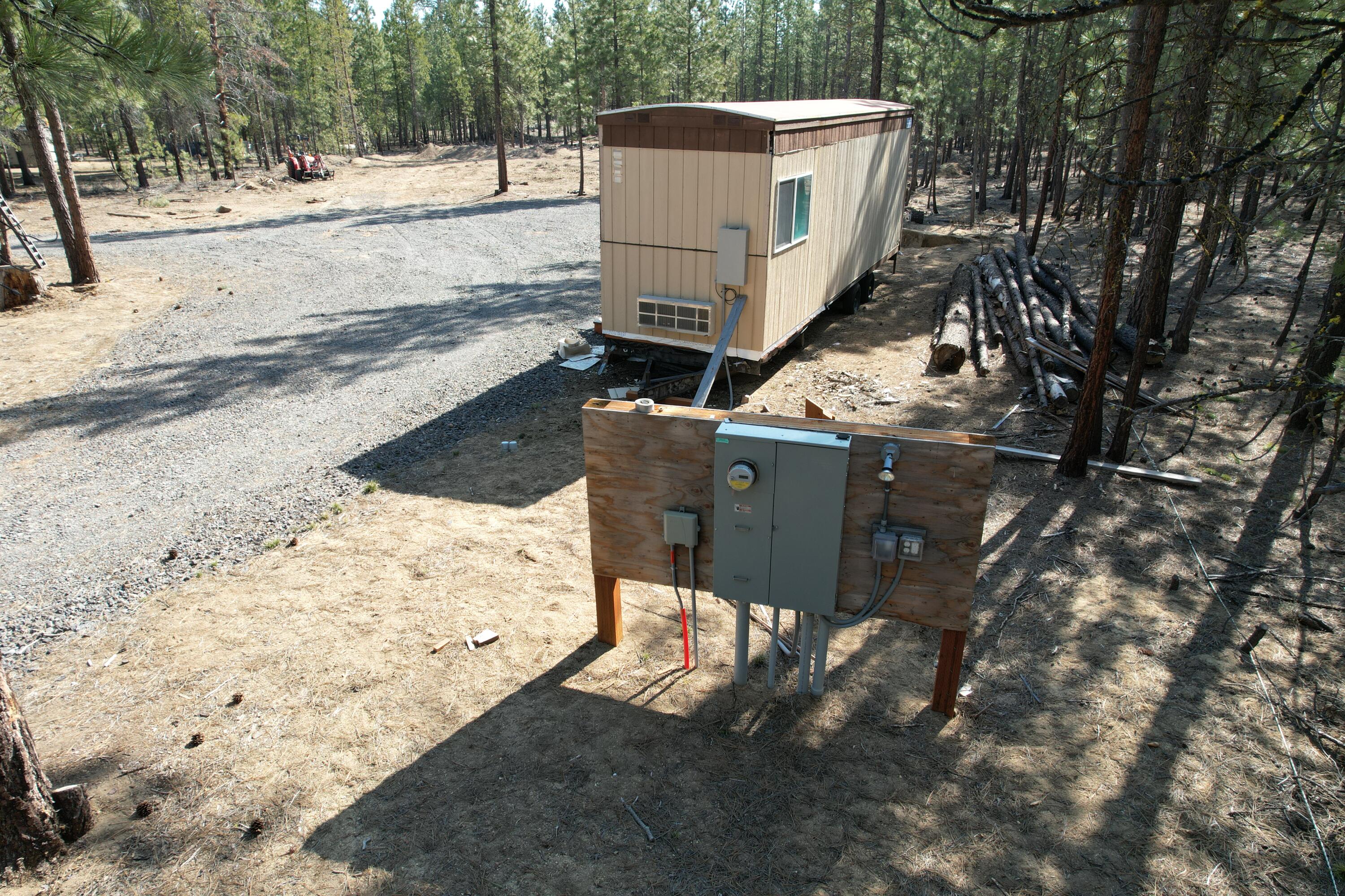 Ponderosa Pines - Land