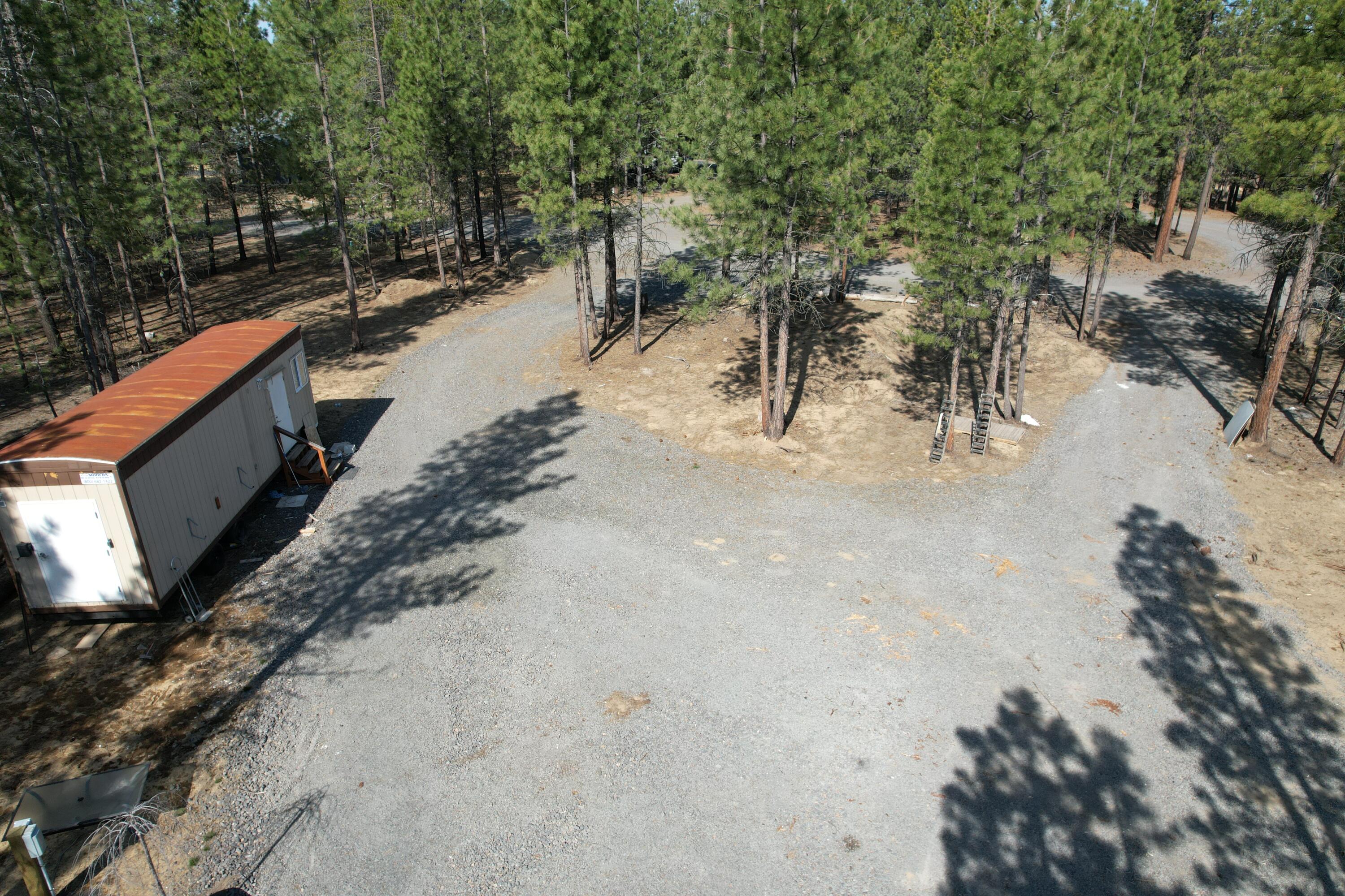 Ponderosa Pines - Land