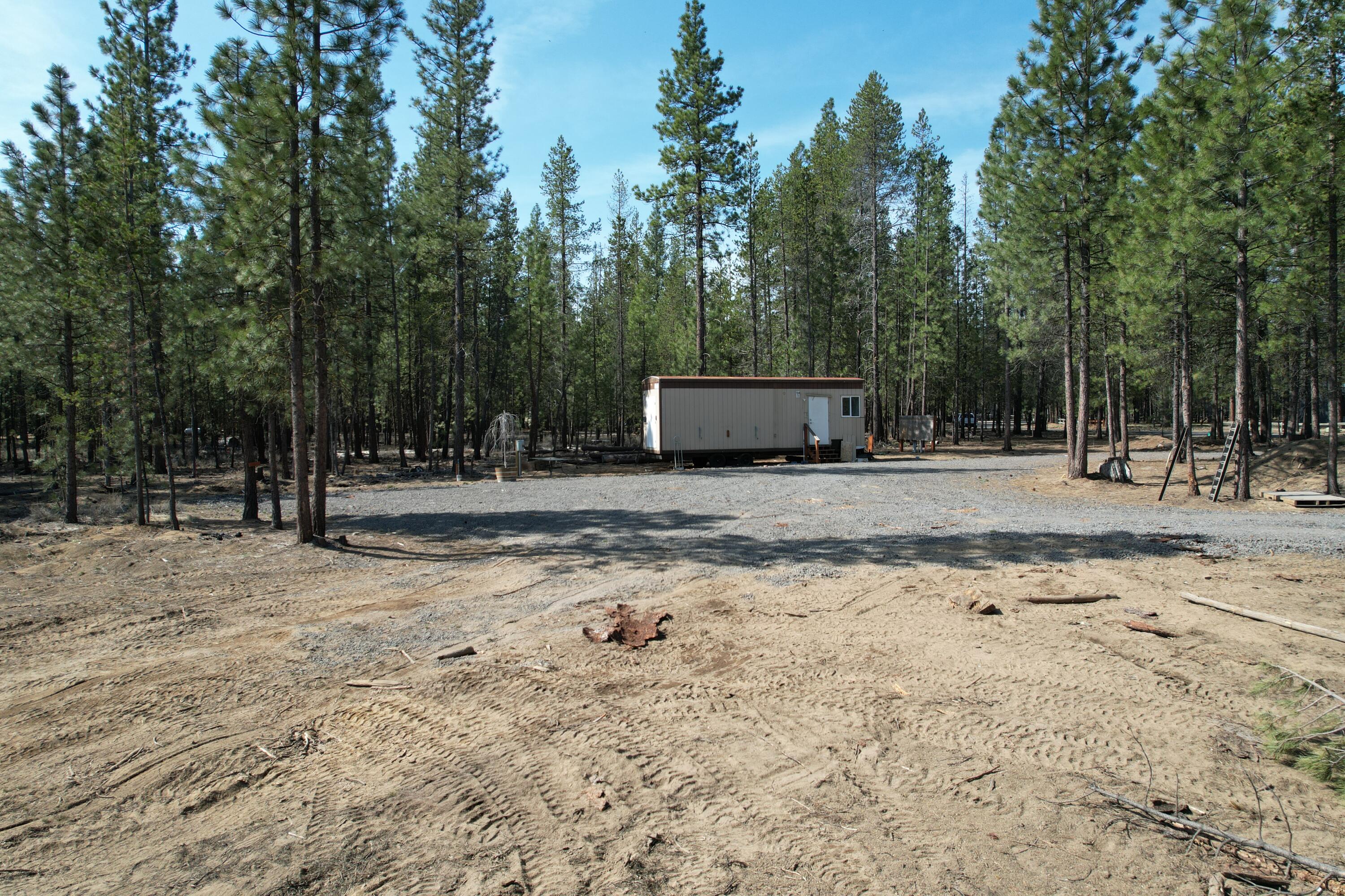 Ponderosa Pines - Land