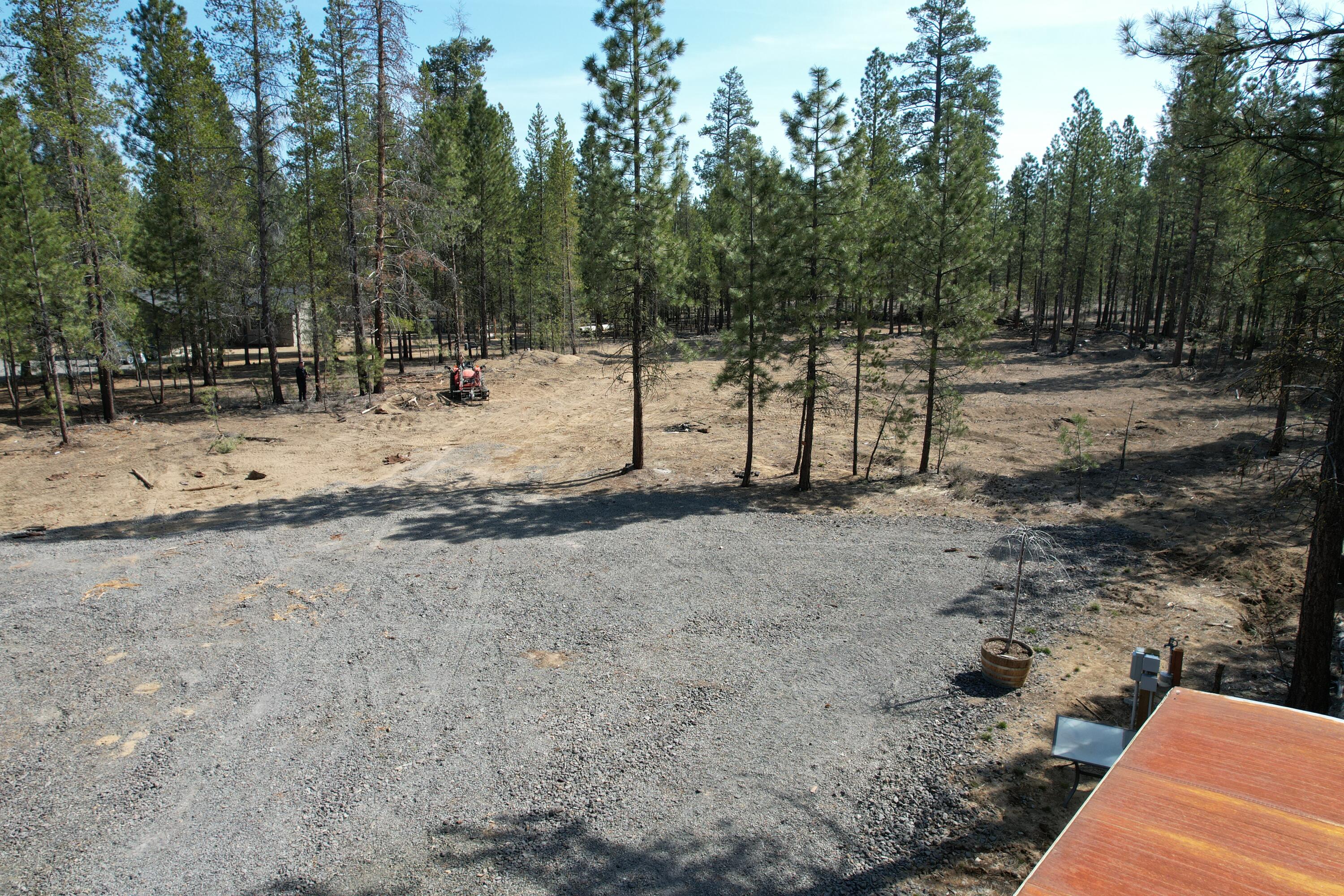 Ponderosa Pines - Land