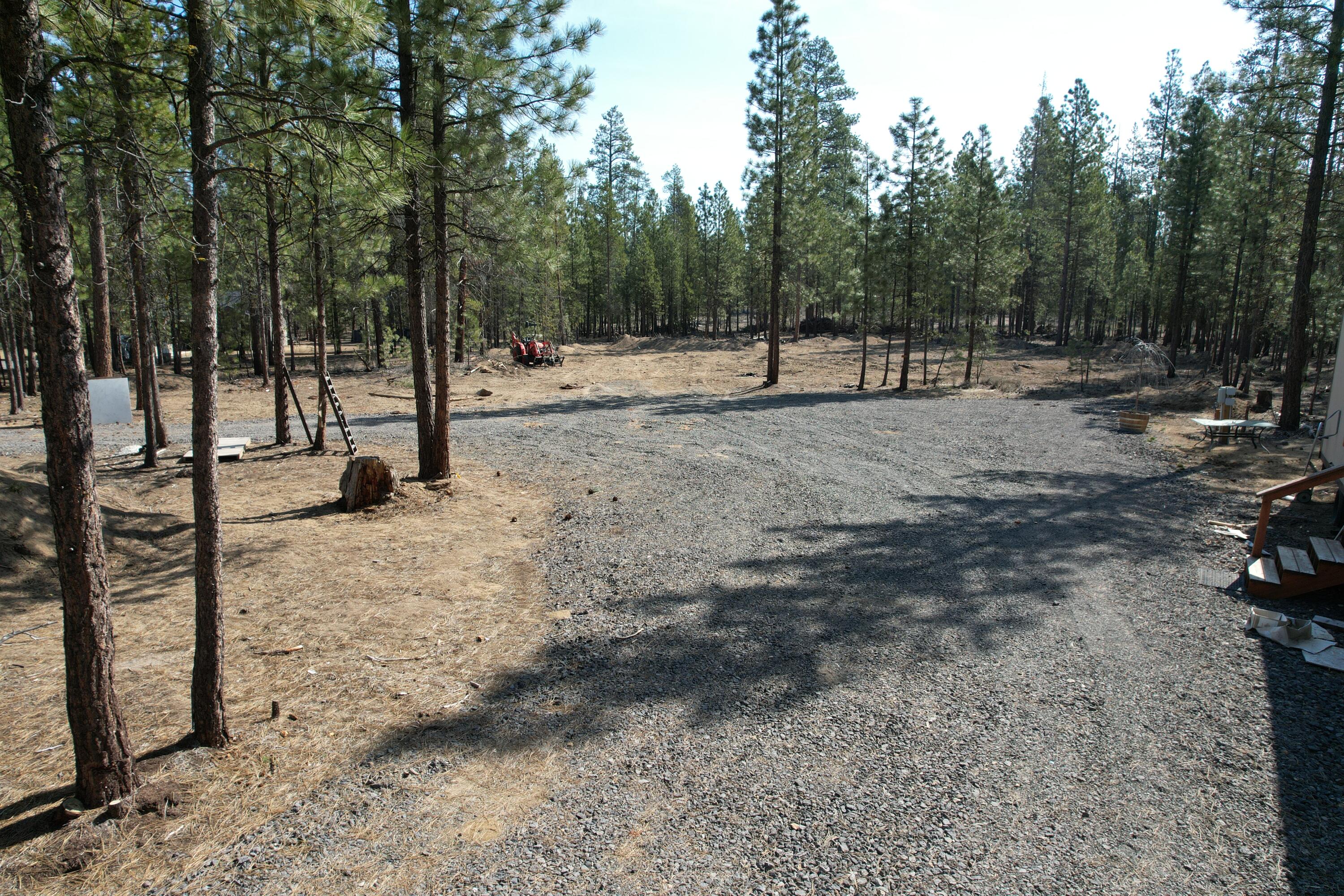 Ponderosa Pines - Land