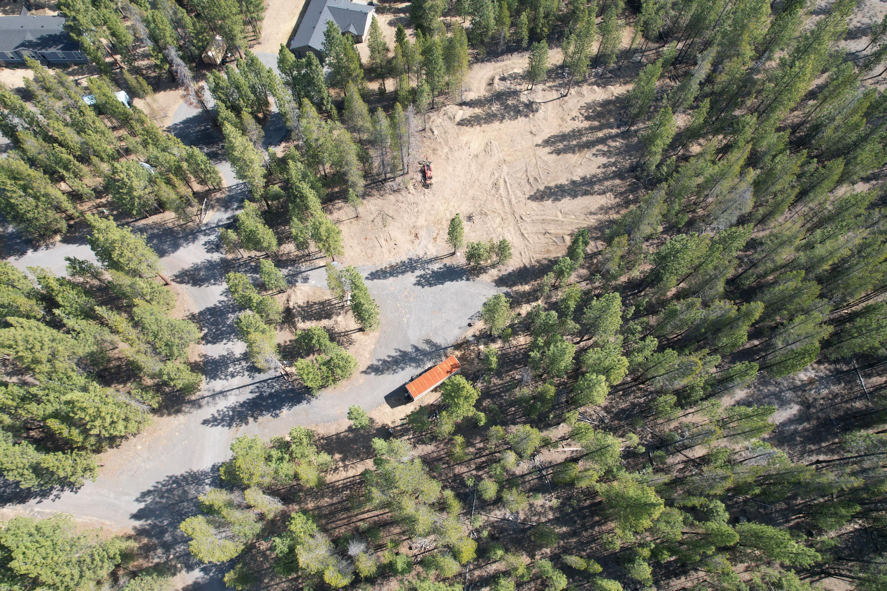 Ponderosa Pines - Land