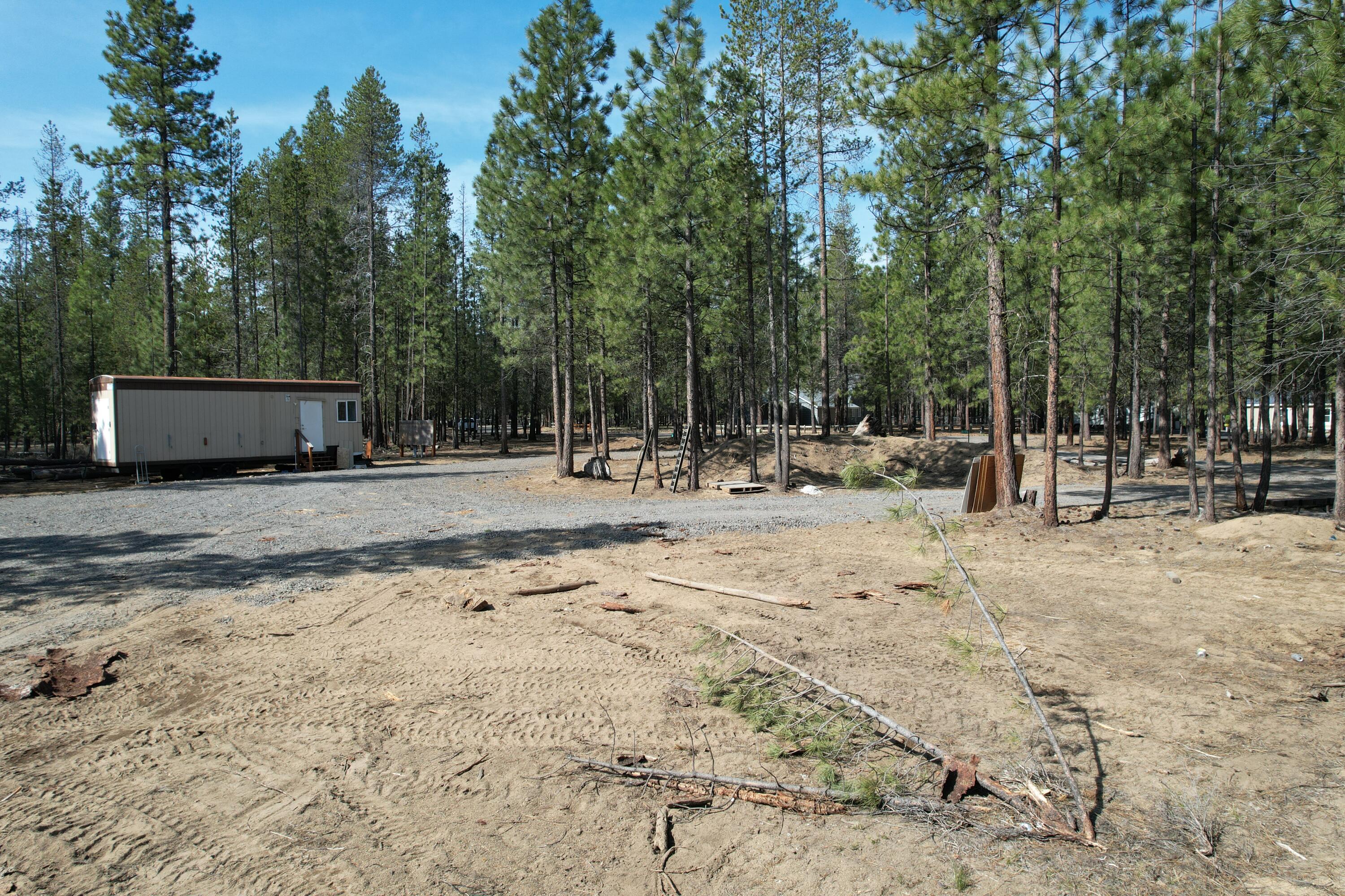 Ponderosa Pines - Land