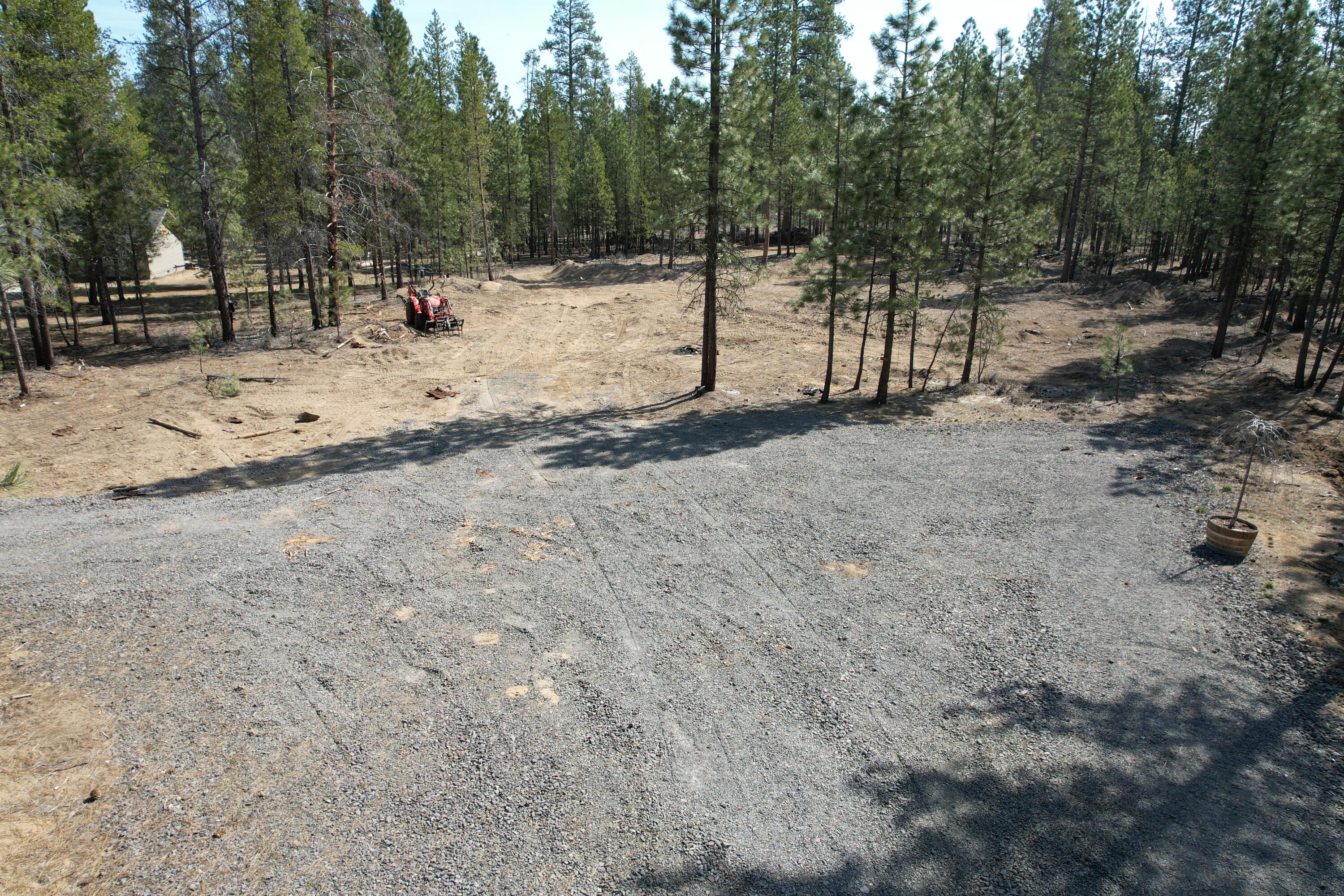 Ponderosa Pines - Land