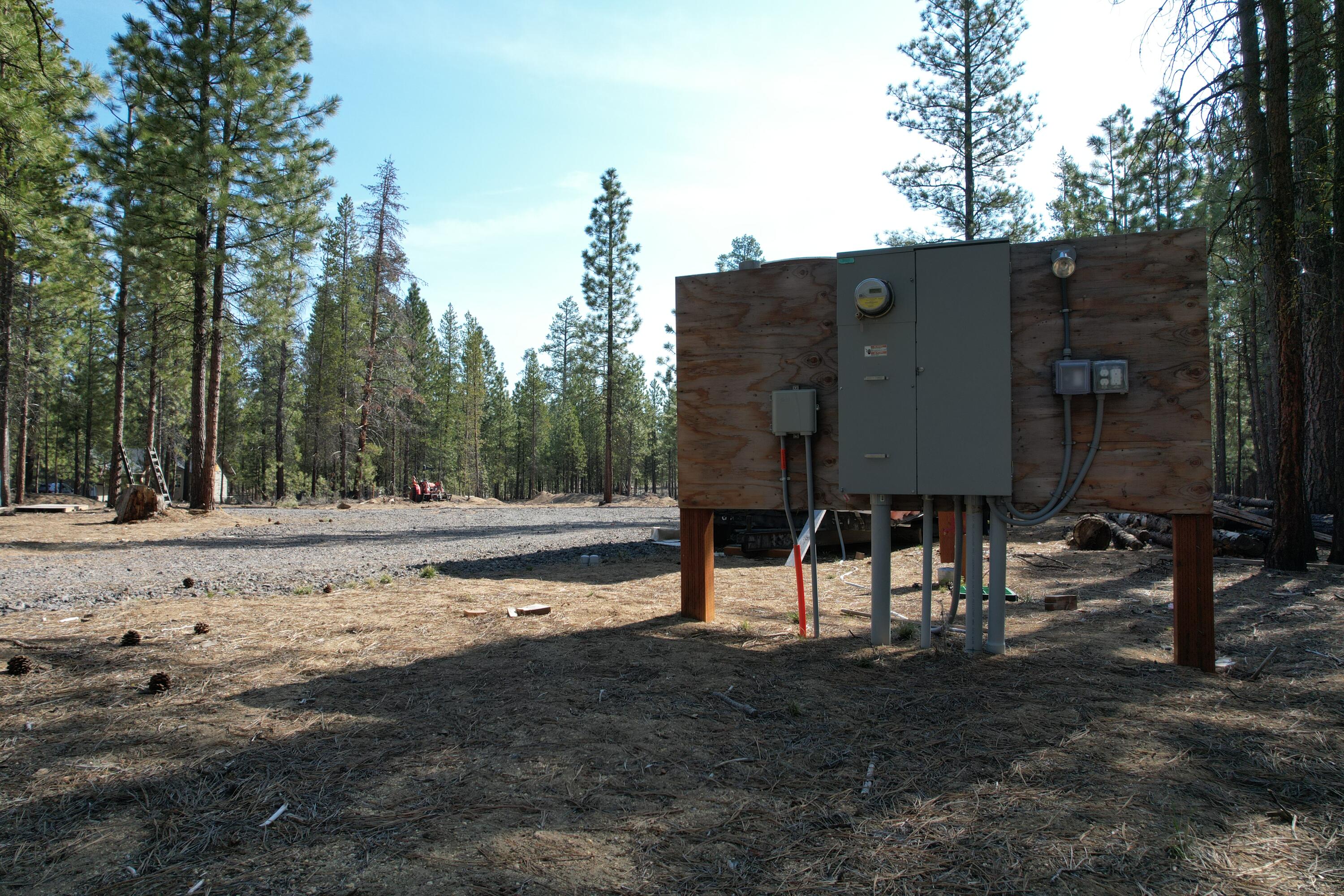 Ponderosa Pines - Land