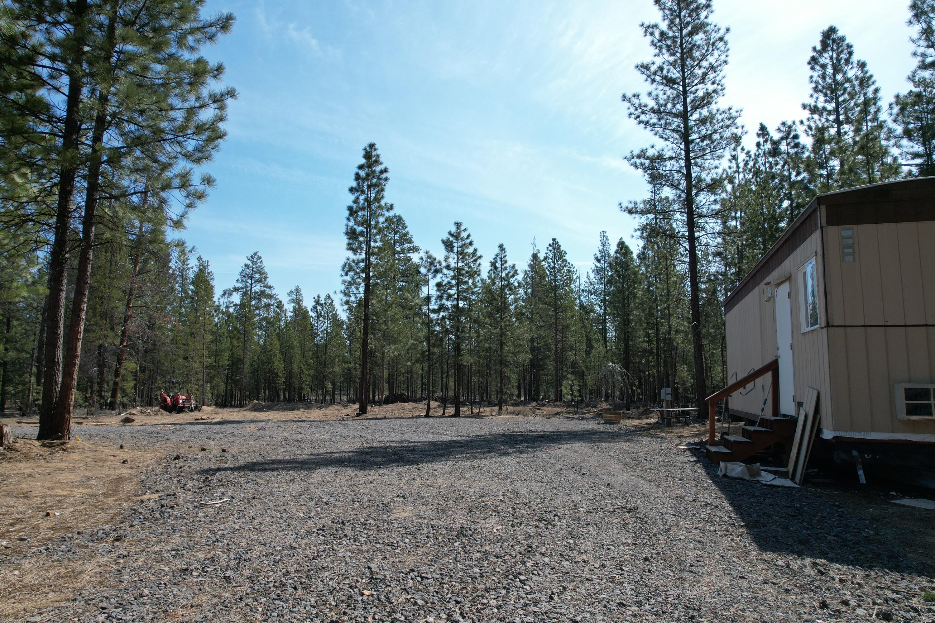 Ponderosa Pines - Land