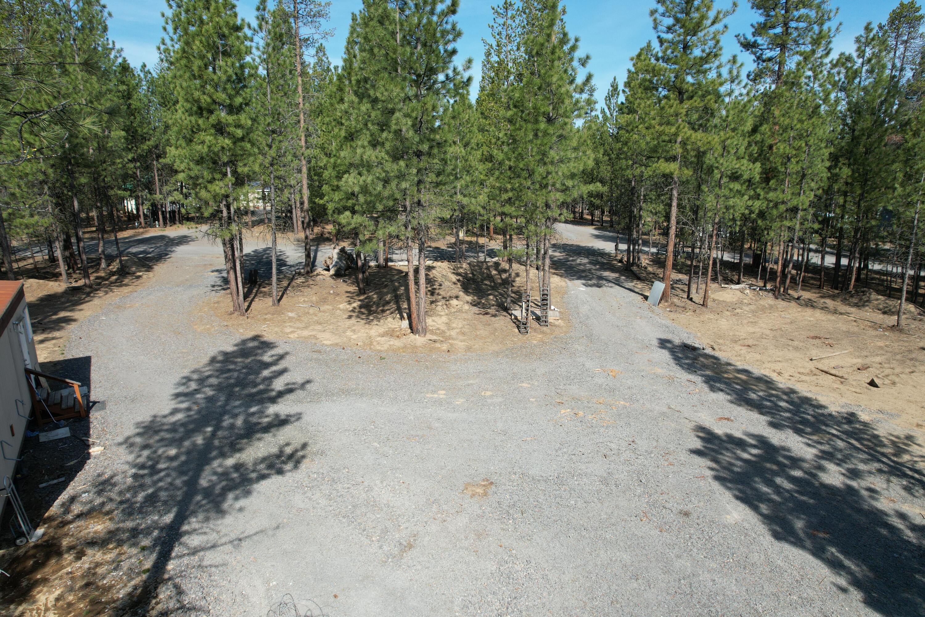 Ponderosa Pines - Land