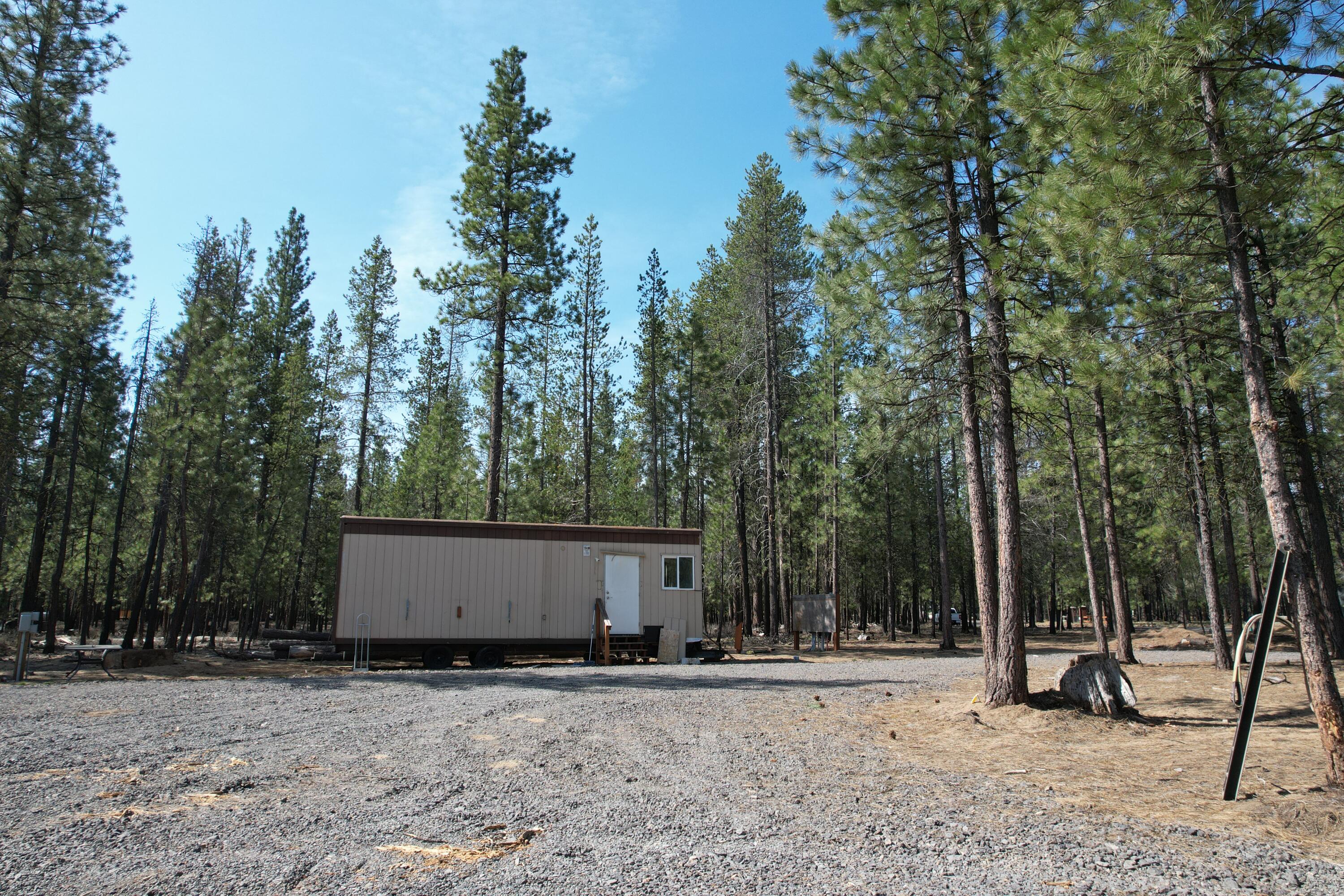 Ponderosa Pines - Land